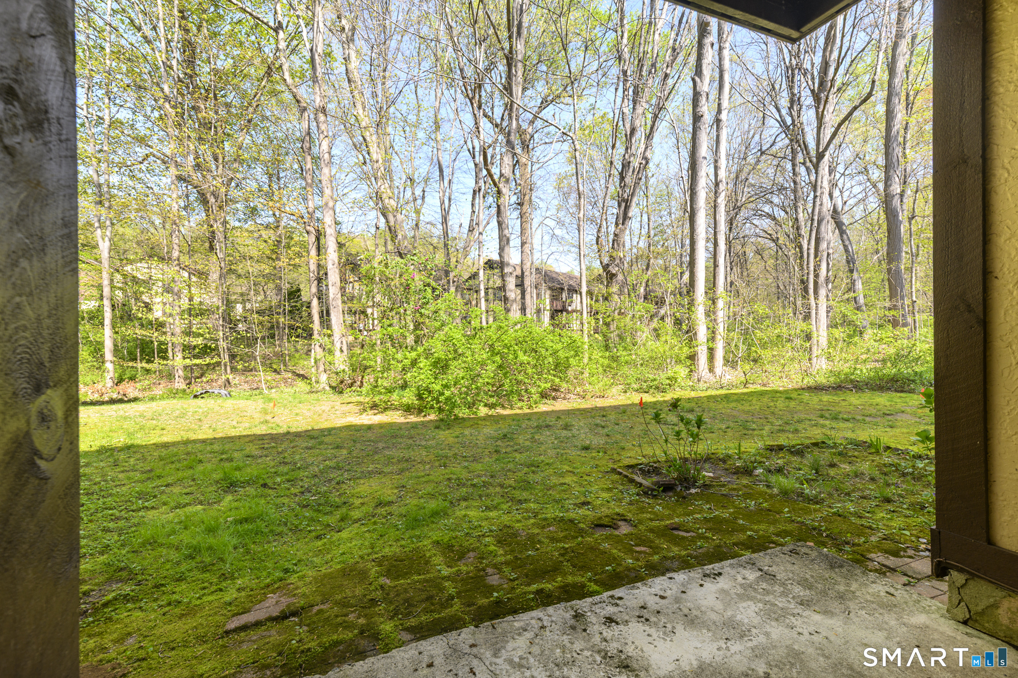 217 Foxwood 217 Lane Property Photo 22