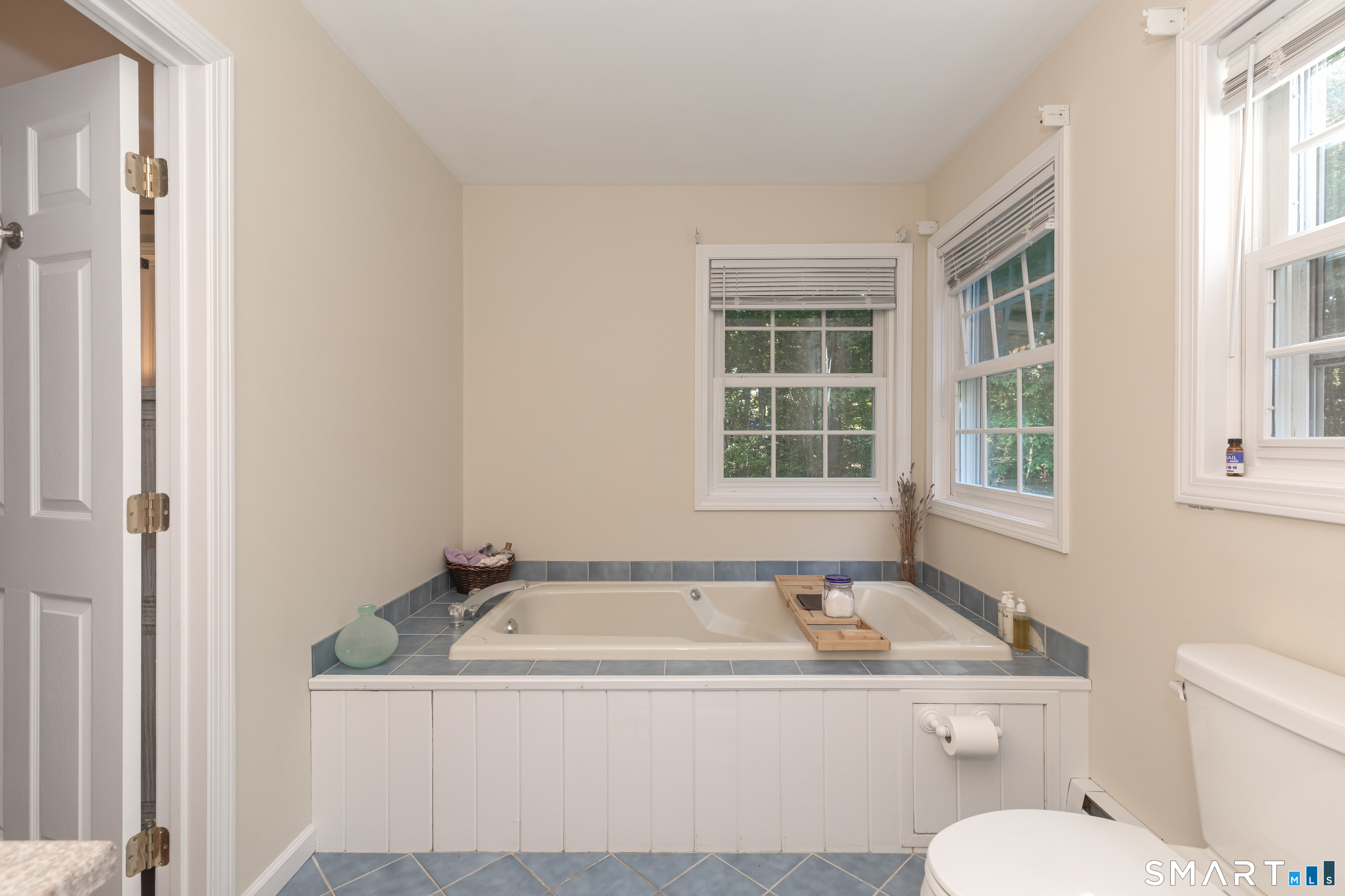 15 Saxony Lane Property Photo 19