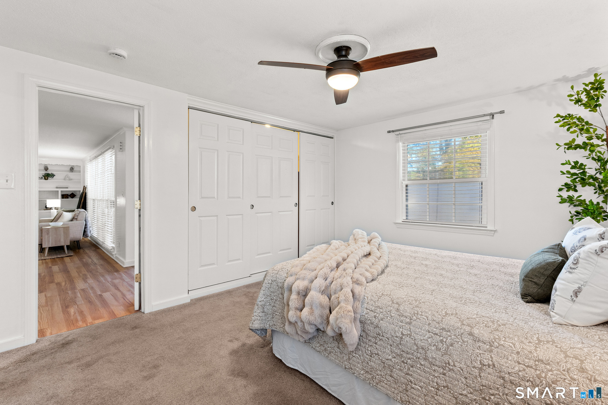 83 Haynes Road Property Photo 22