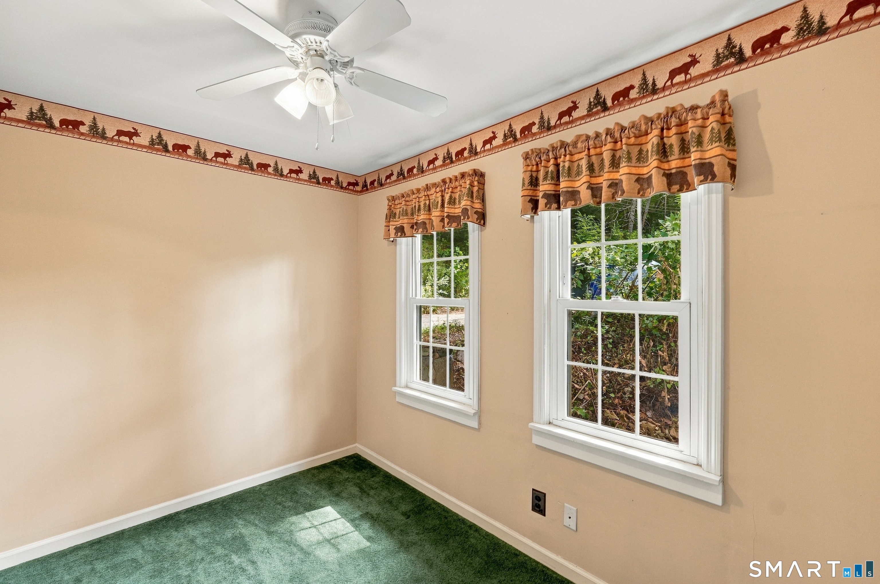 134 Lower Fish Rock Road Property Photo 22