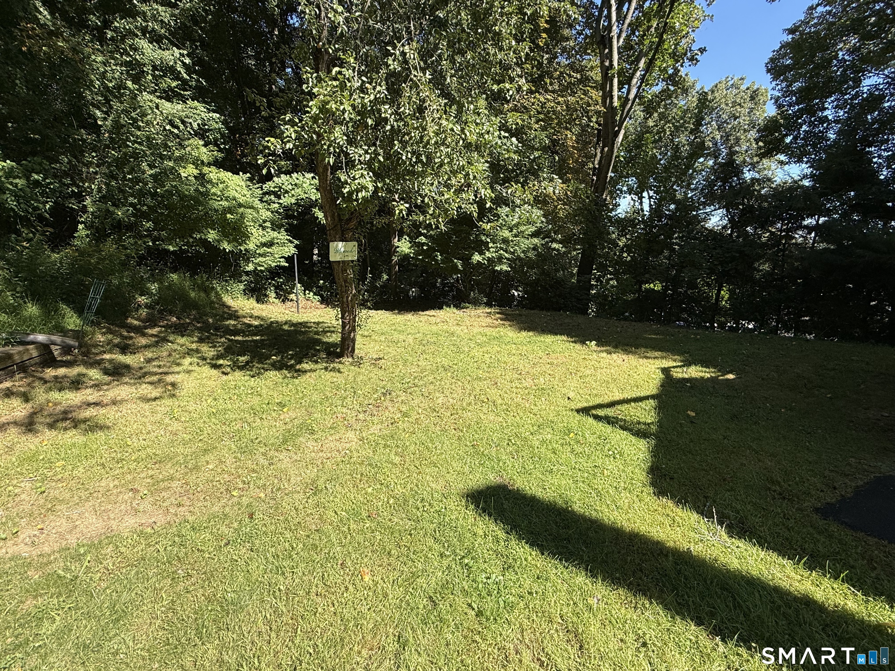 241 Lewis Street Property Photo 9