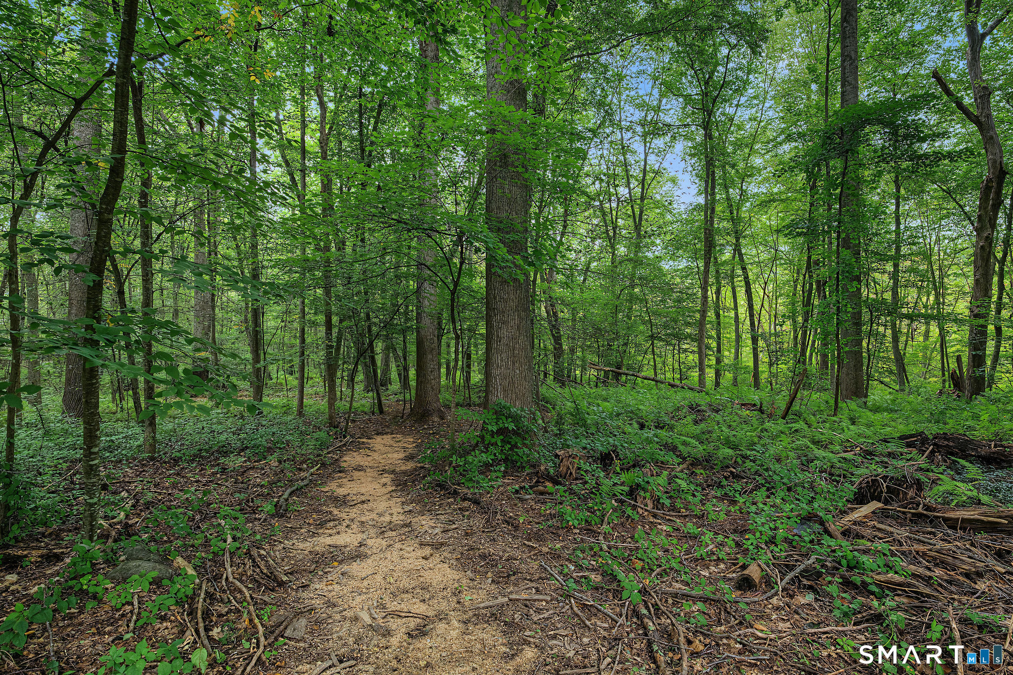 150 Race Hill Road Property Photo 39