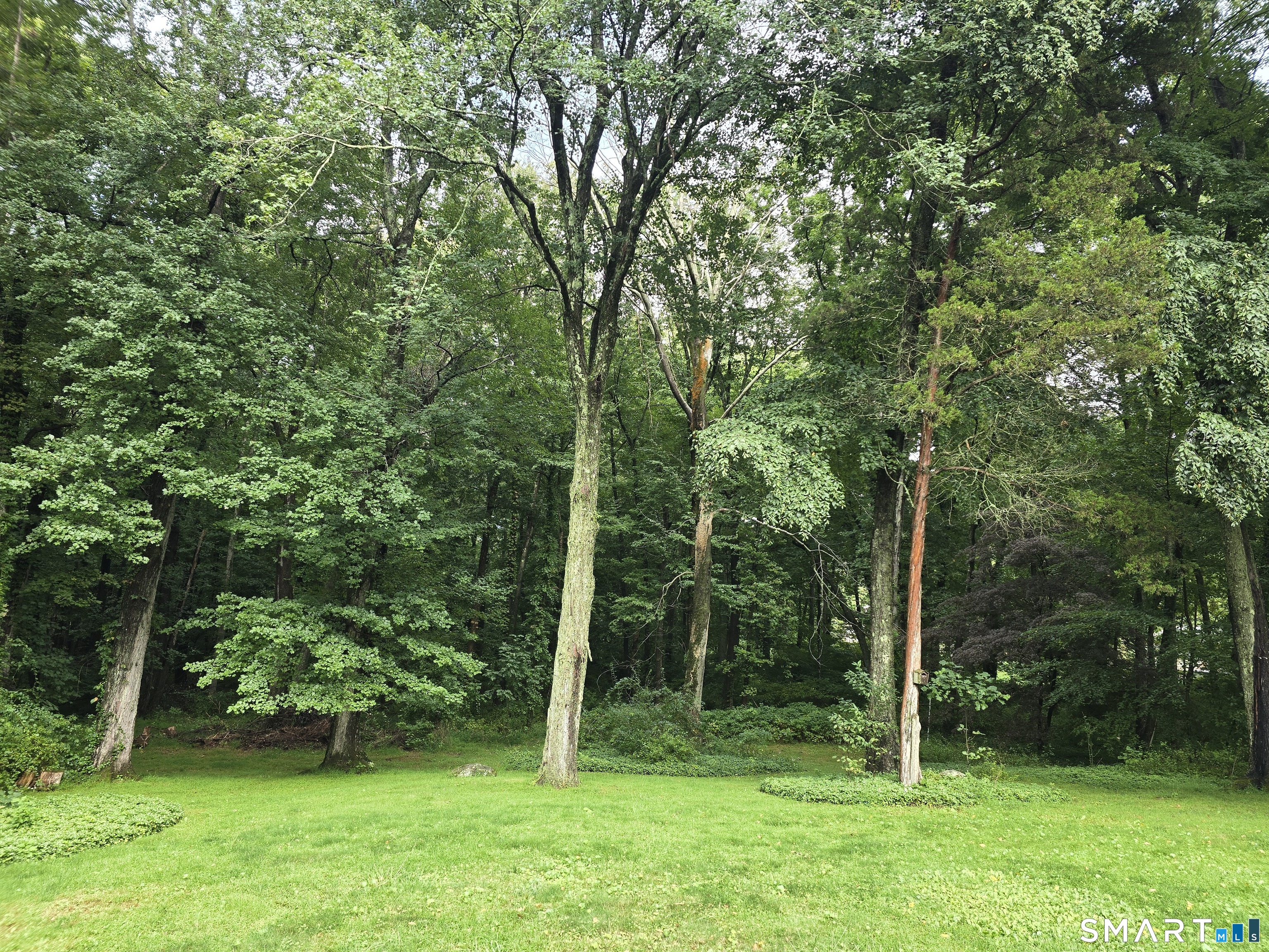 4 Partridge Lane Property Photo 27