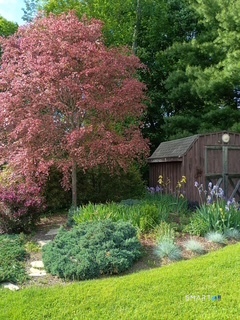 40 Stonehouse Road Property Photo 23