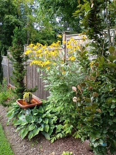 40 Stonehouse Road Property Photo 24