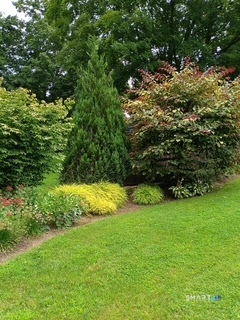 40 Stonehouse Road Property Photo 26