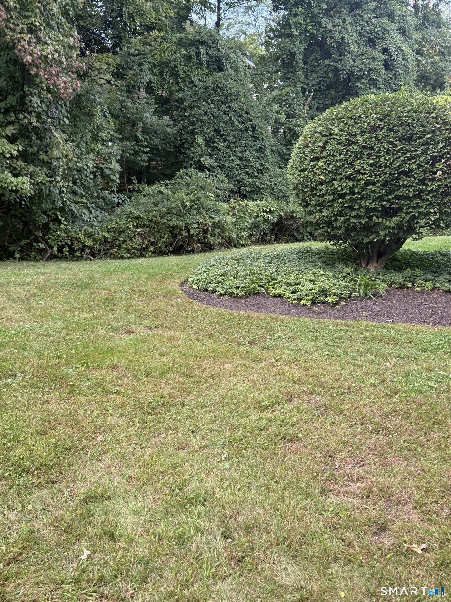 6 Rose 7 Lane Property Photo 15