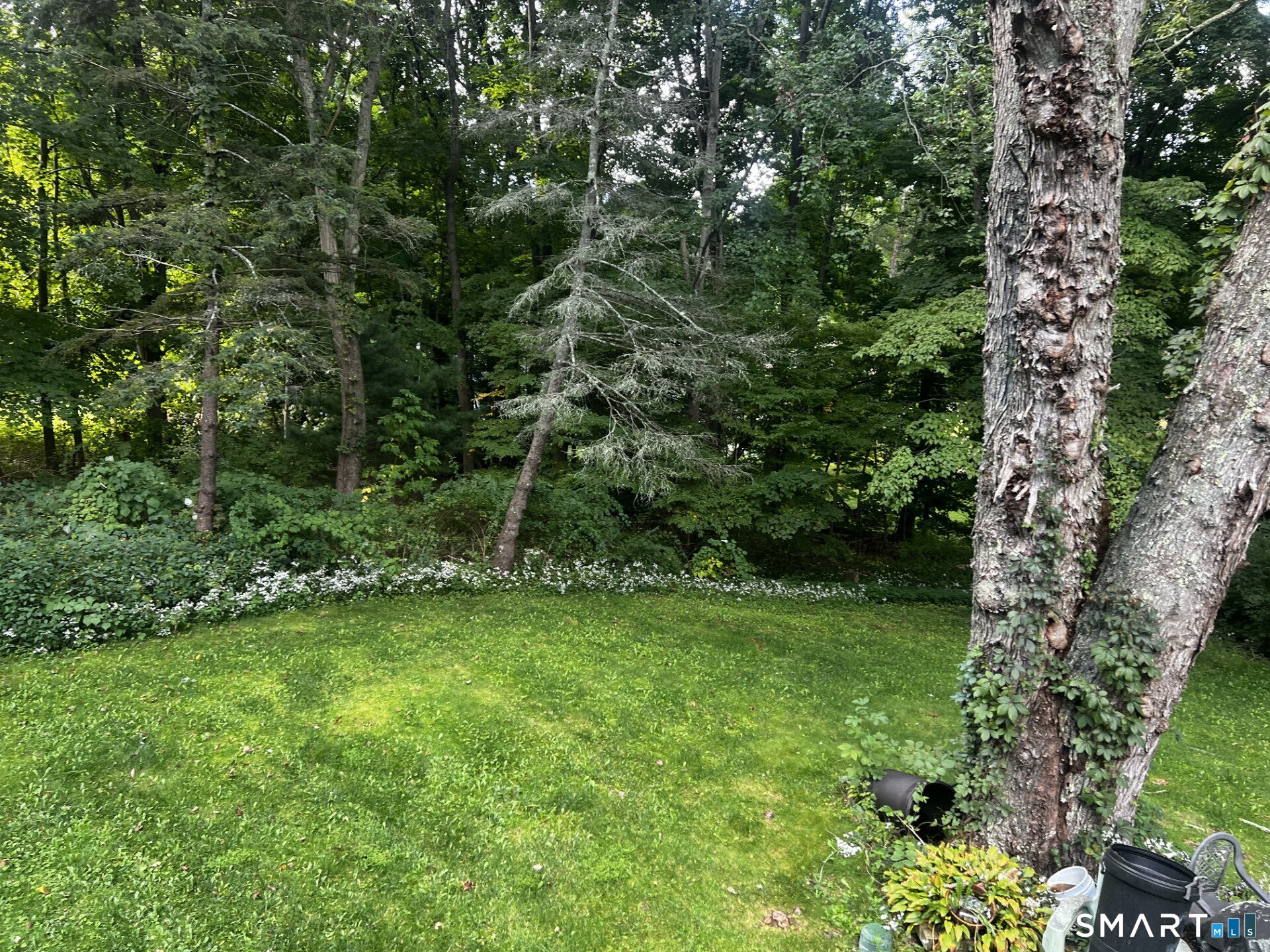 206 Lake West Avenue Property Photo 25