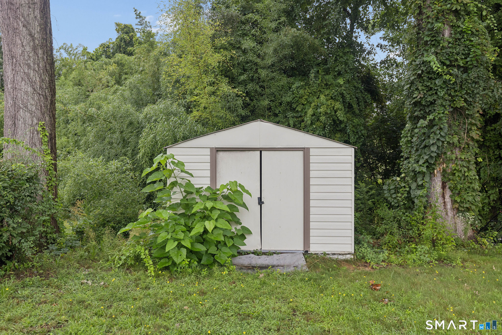 61 University Avenue Property Photo 6