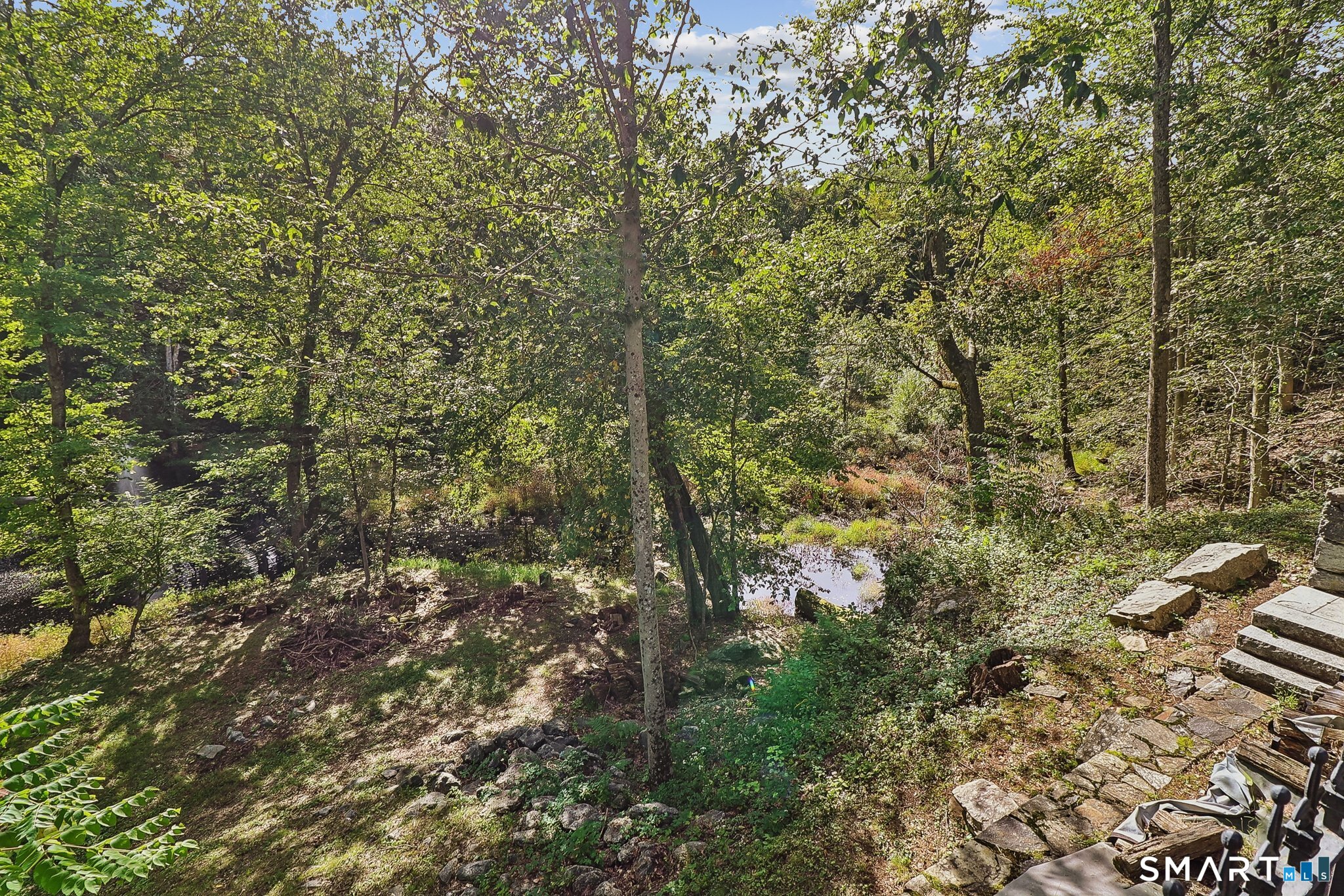 20 Thistle Lane Property Photo 8