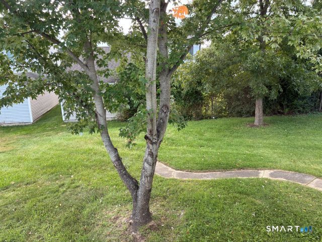104 Meadow Street Property Photo 20