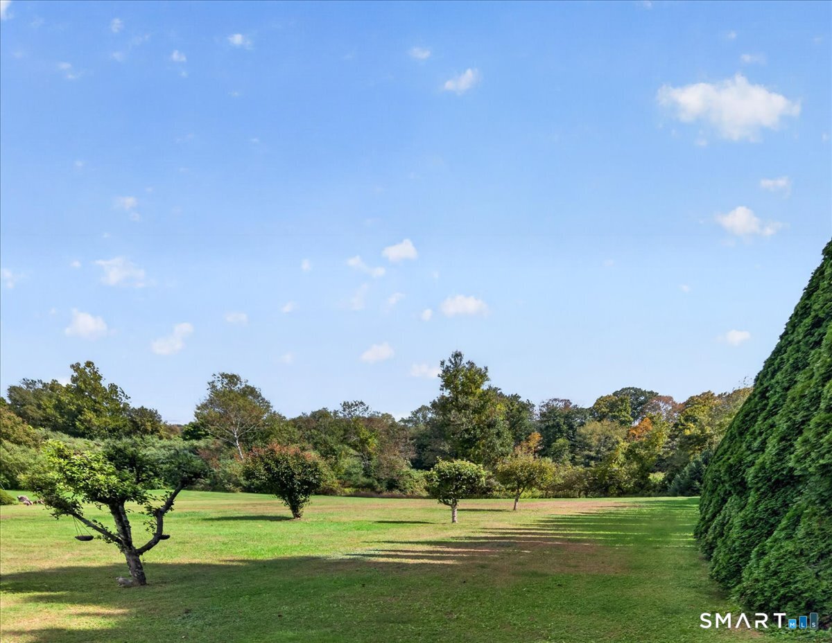 45 Wolf Den Drive Property Photo 33