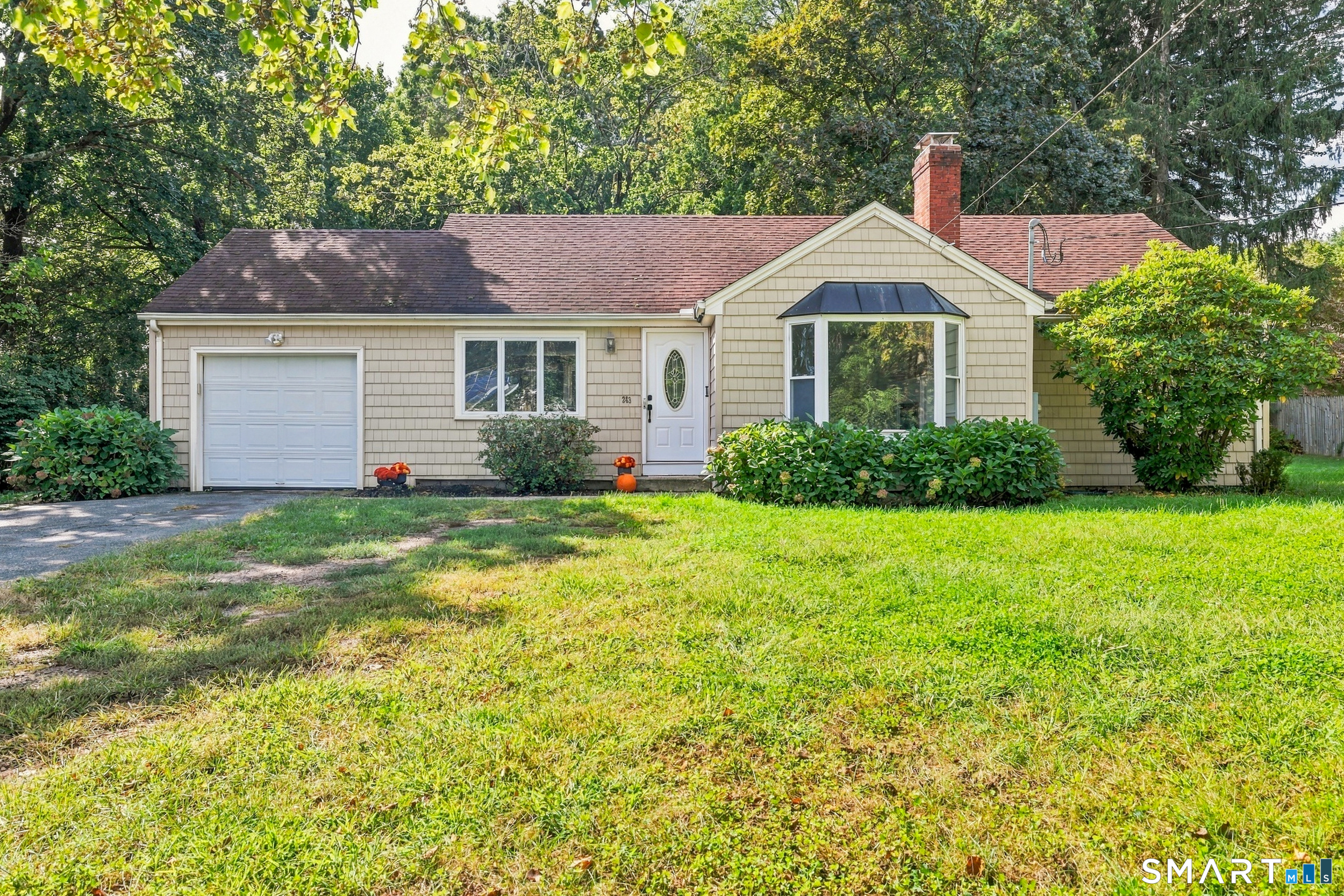 243 Elm Street Property Photo 1