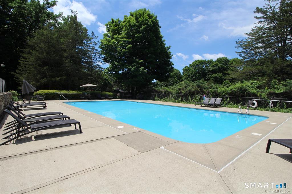 229 Bacon Pond 312 Road Property Photo 28