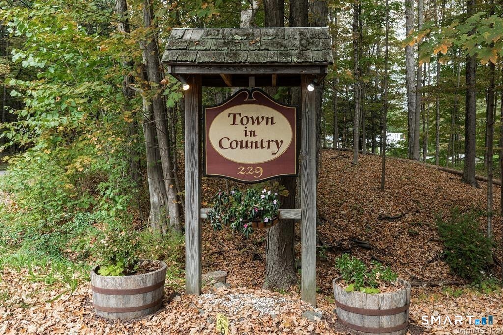 229 Bacon Pond 312 Road Property Photo 29