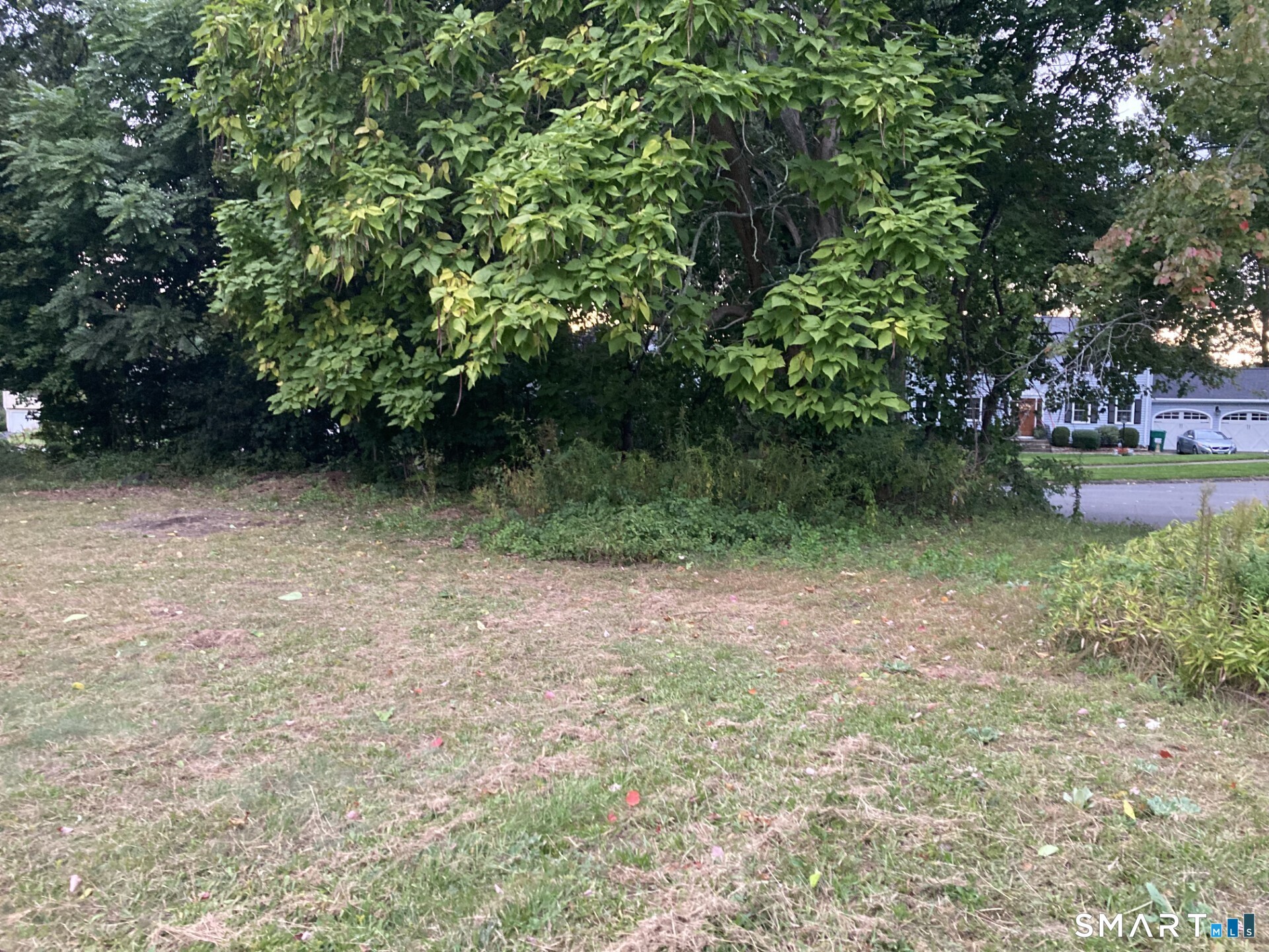 62 Windwood Drive Property Photo 4