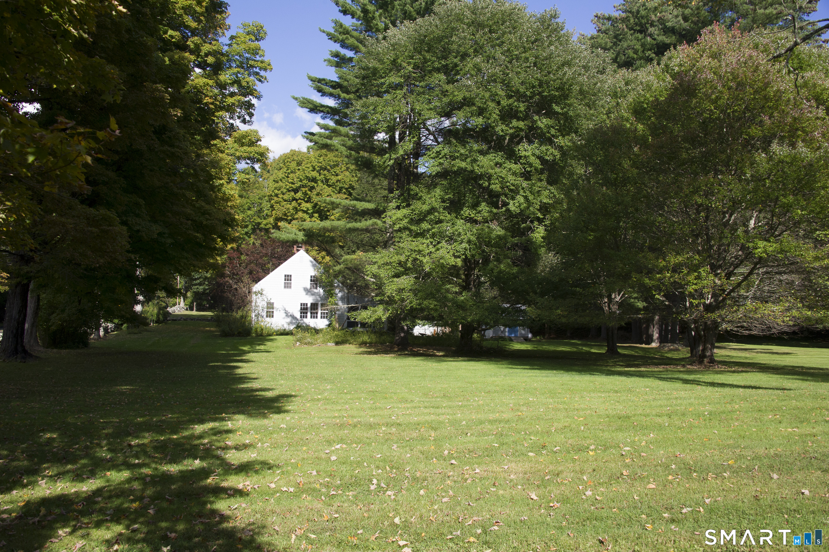 344 Morris West Road Property Photo 6