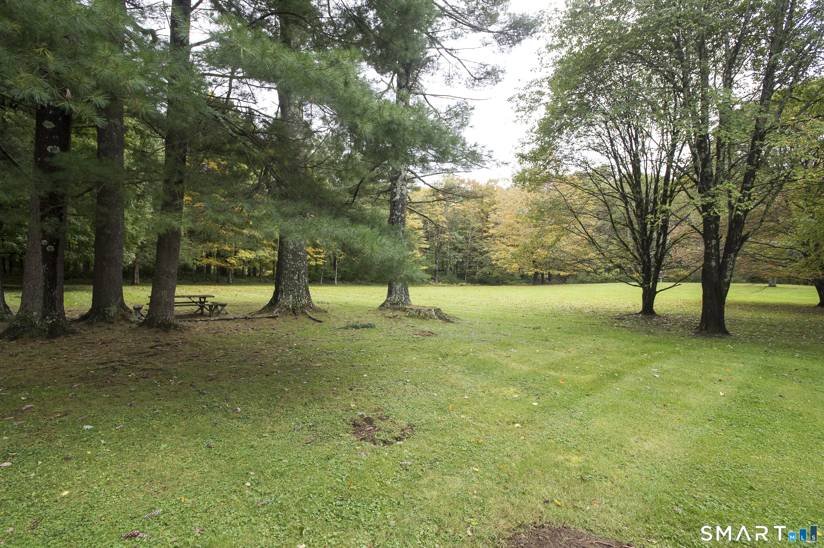 344 Morris West Road Property Photo 10