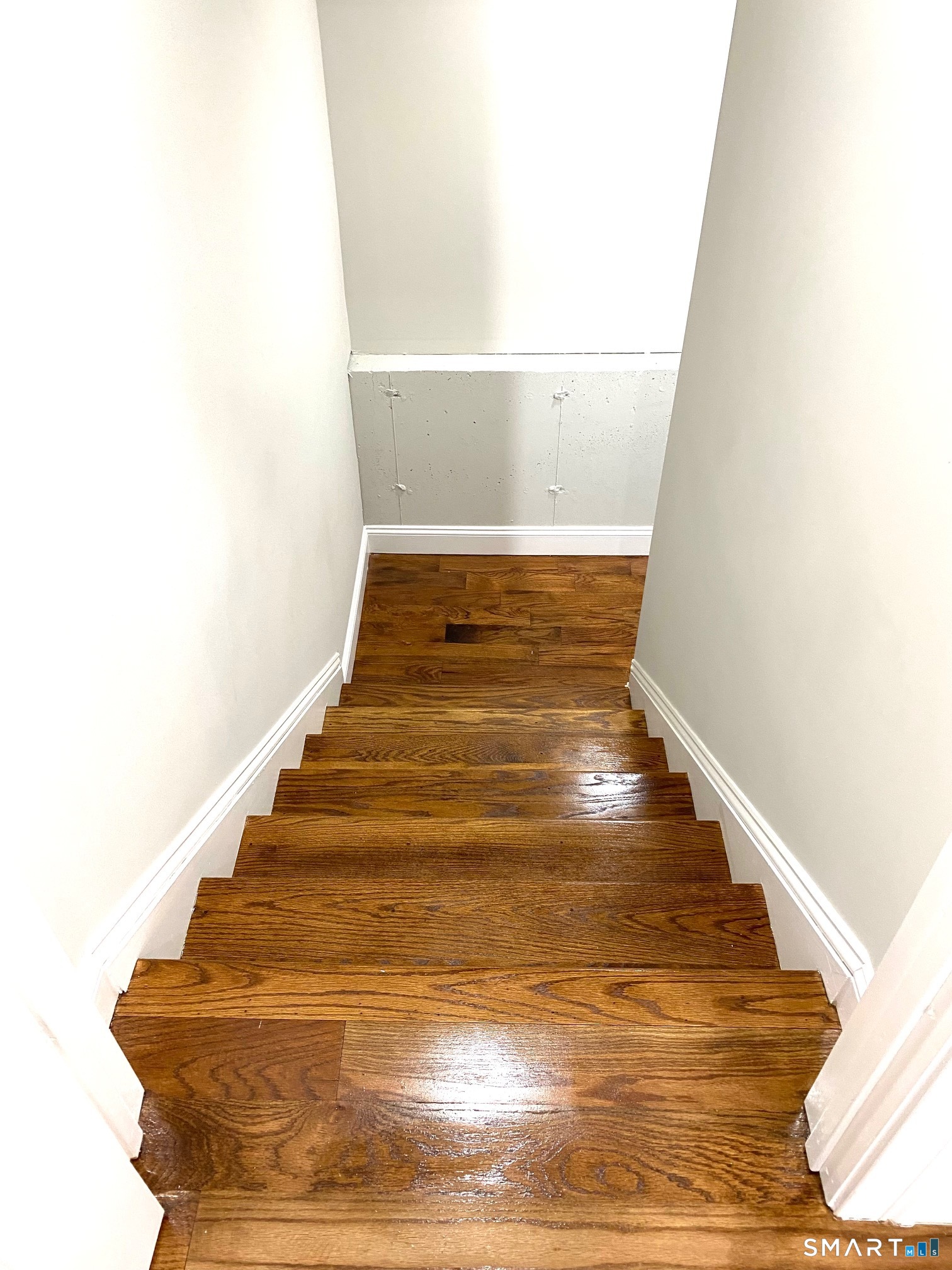 29 Michael Street Property Photo 26