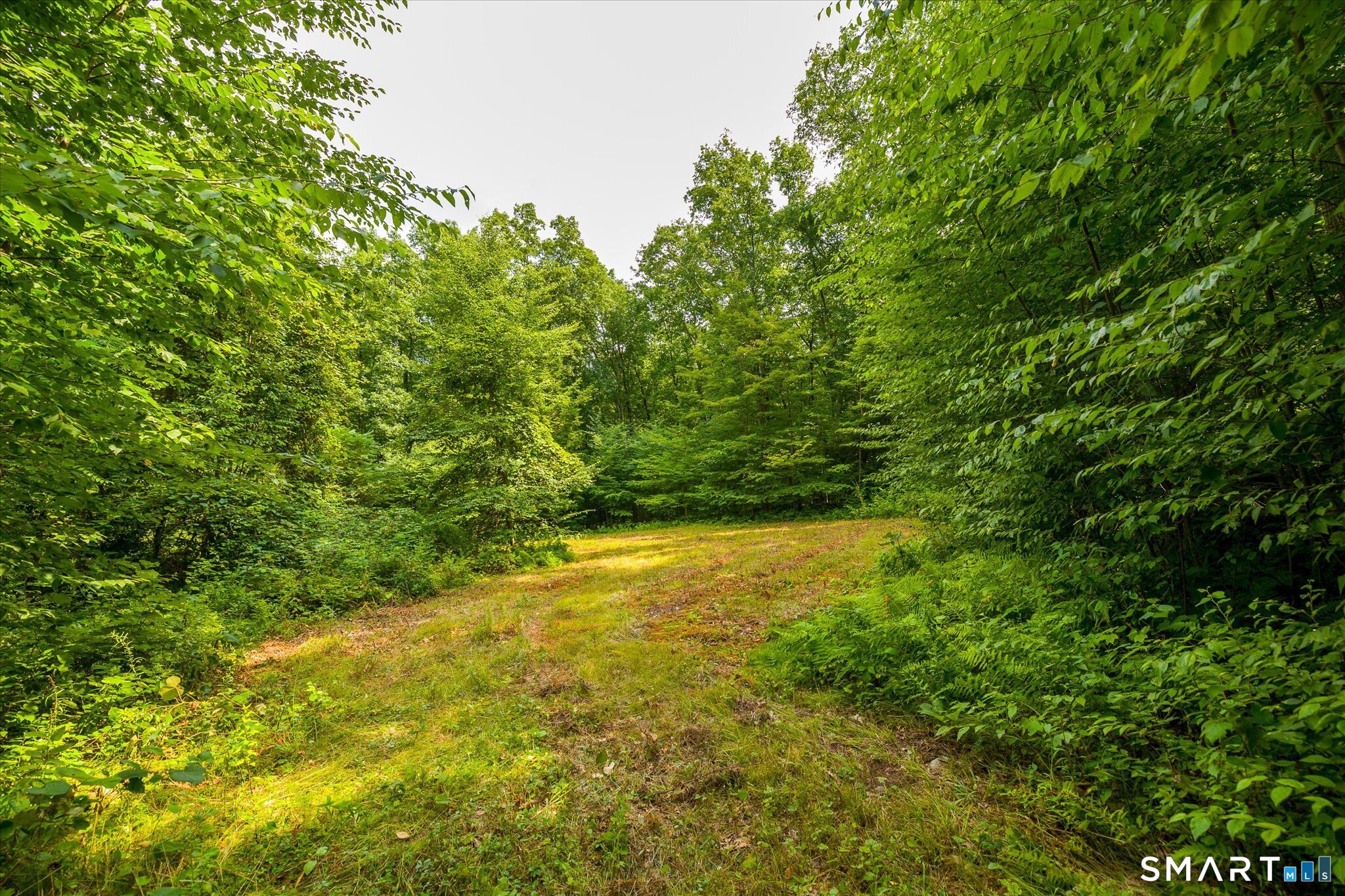 Aplin Hill Lane Property Photo 7
