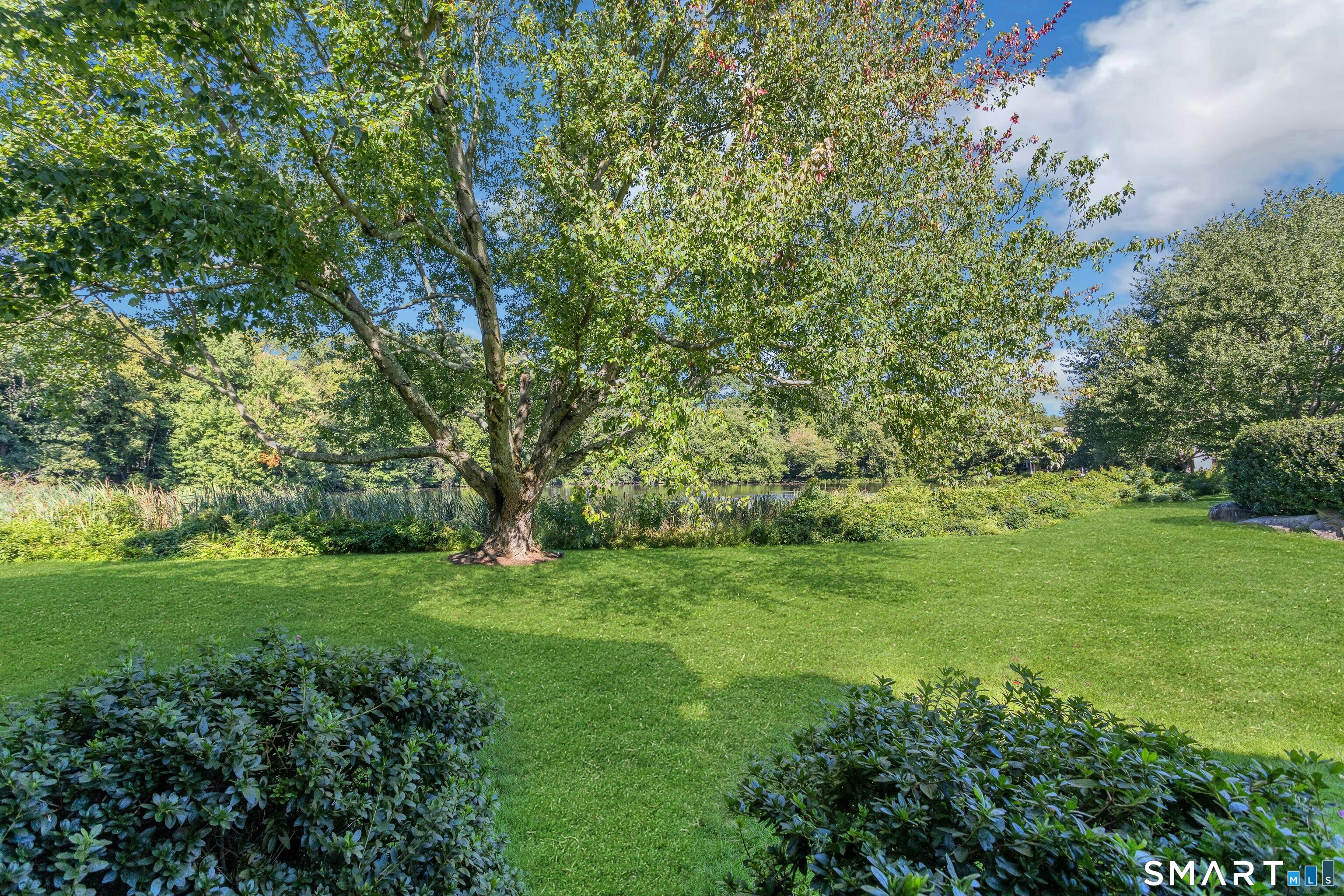 147 Rowayton Woods 147 Drive Property Photo 18