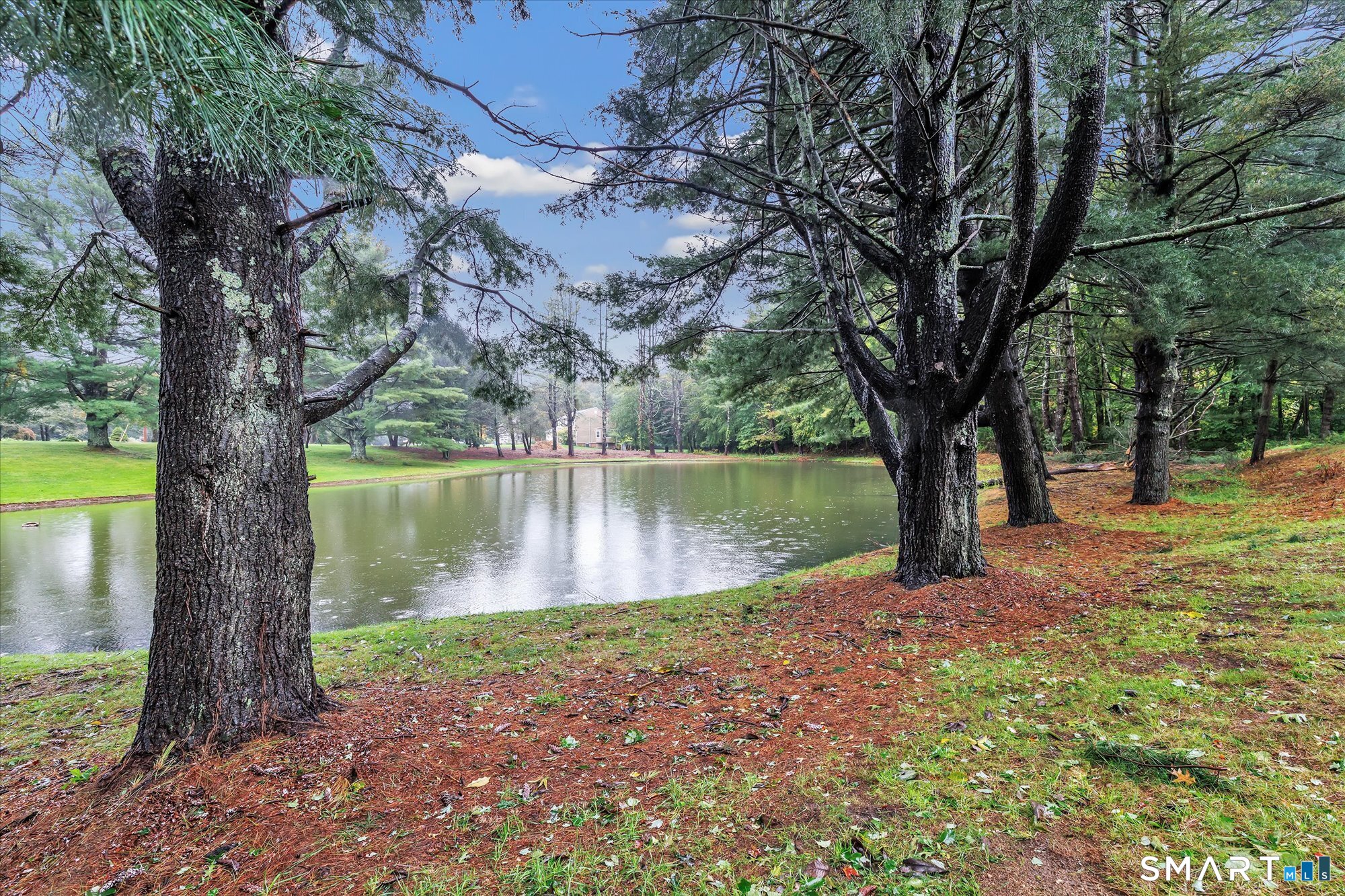 42 Wigwam Drive Property Photo 40