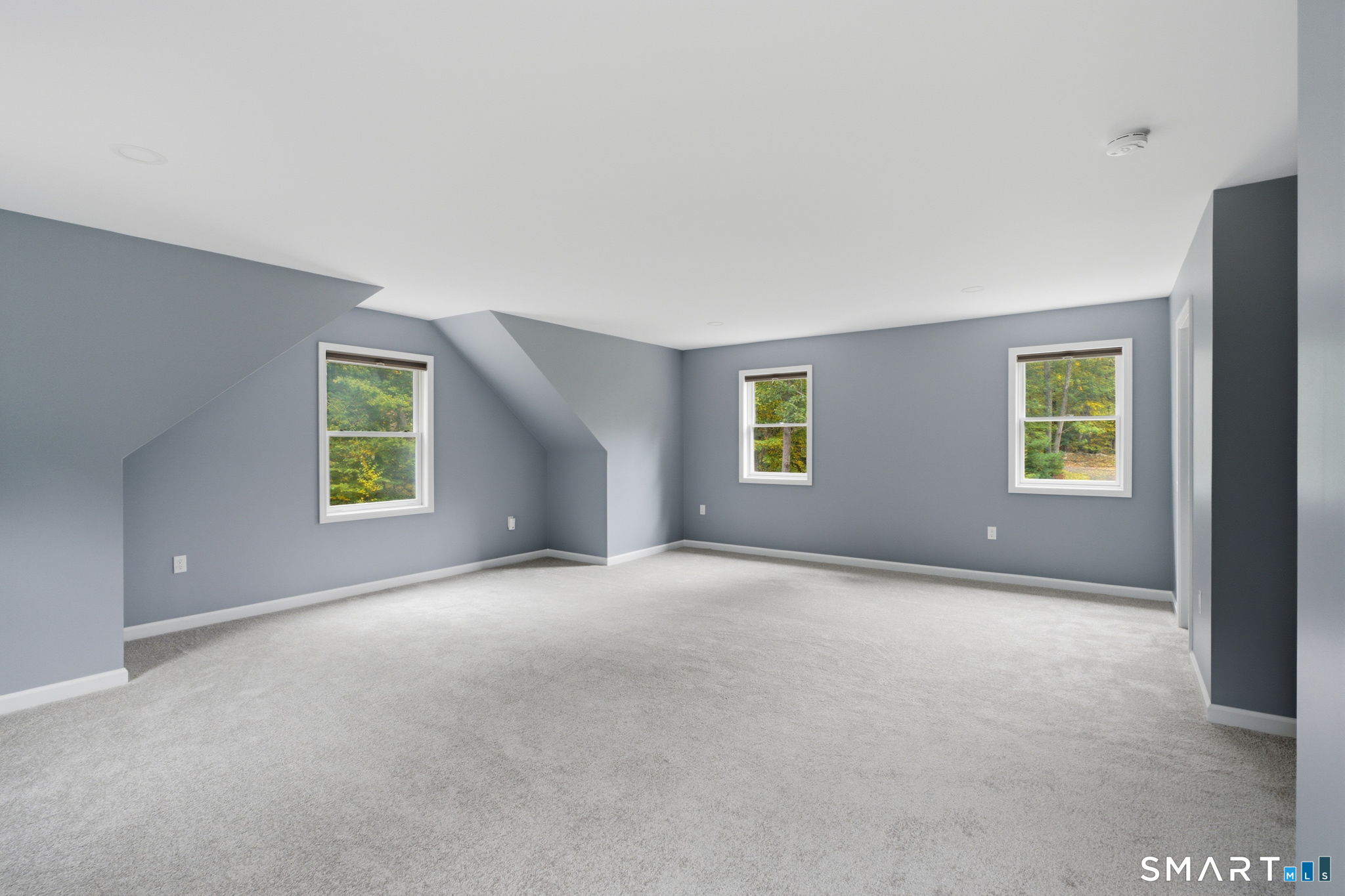 25 Carriage Drive Property Photo 28