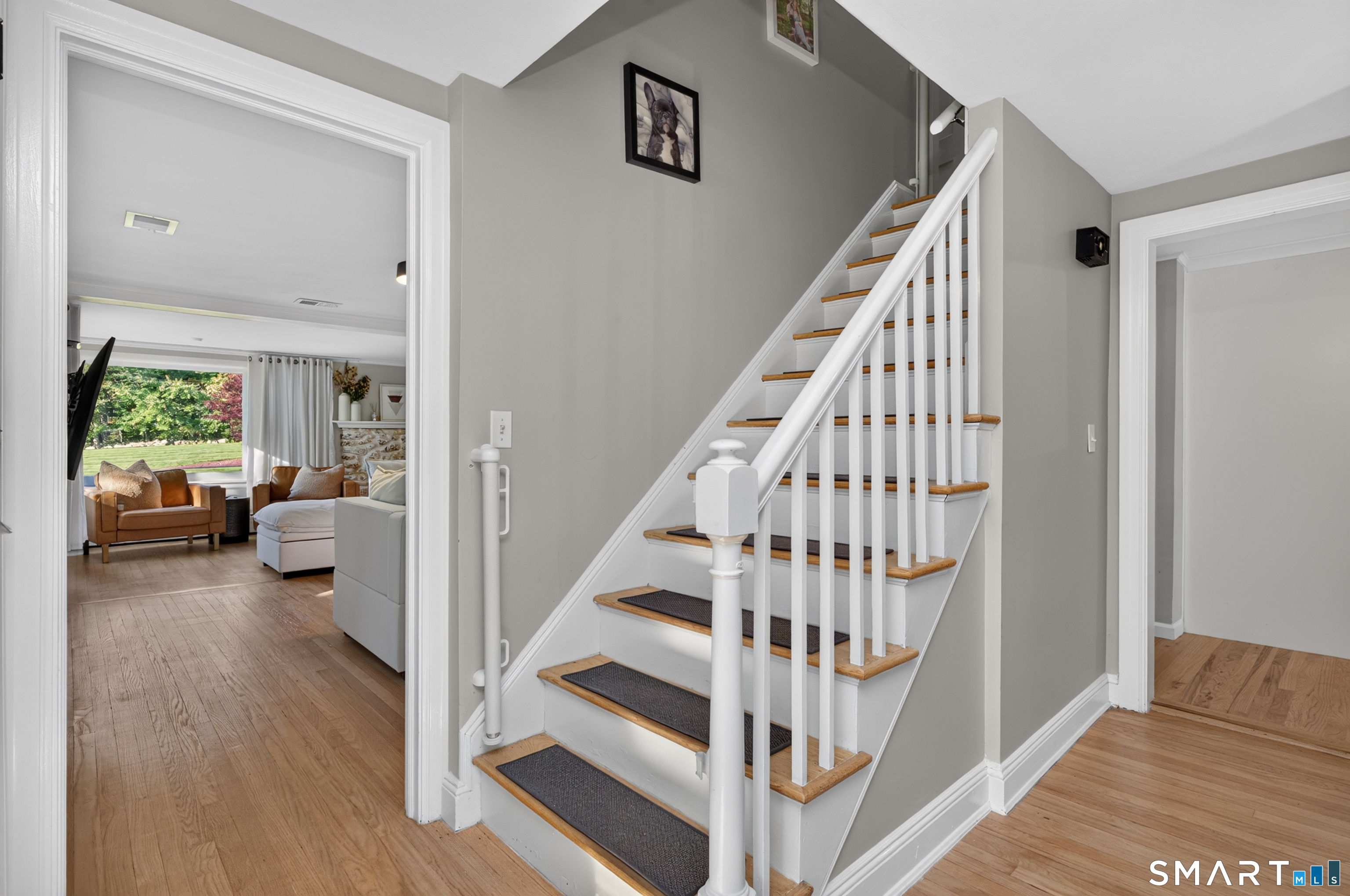 39 Fern Street Property Photo 26