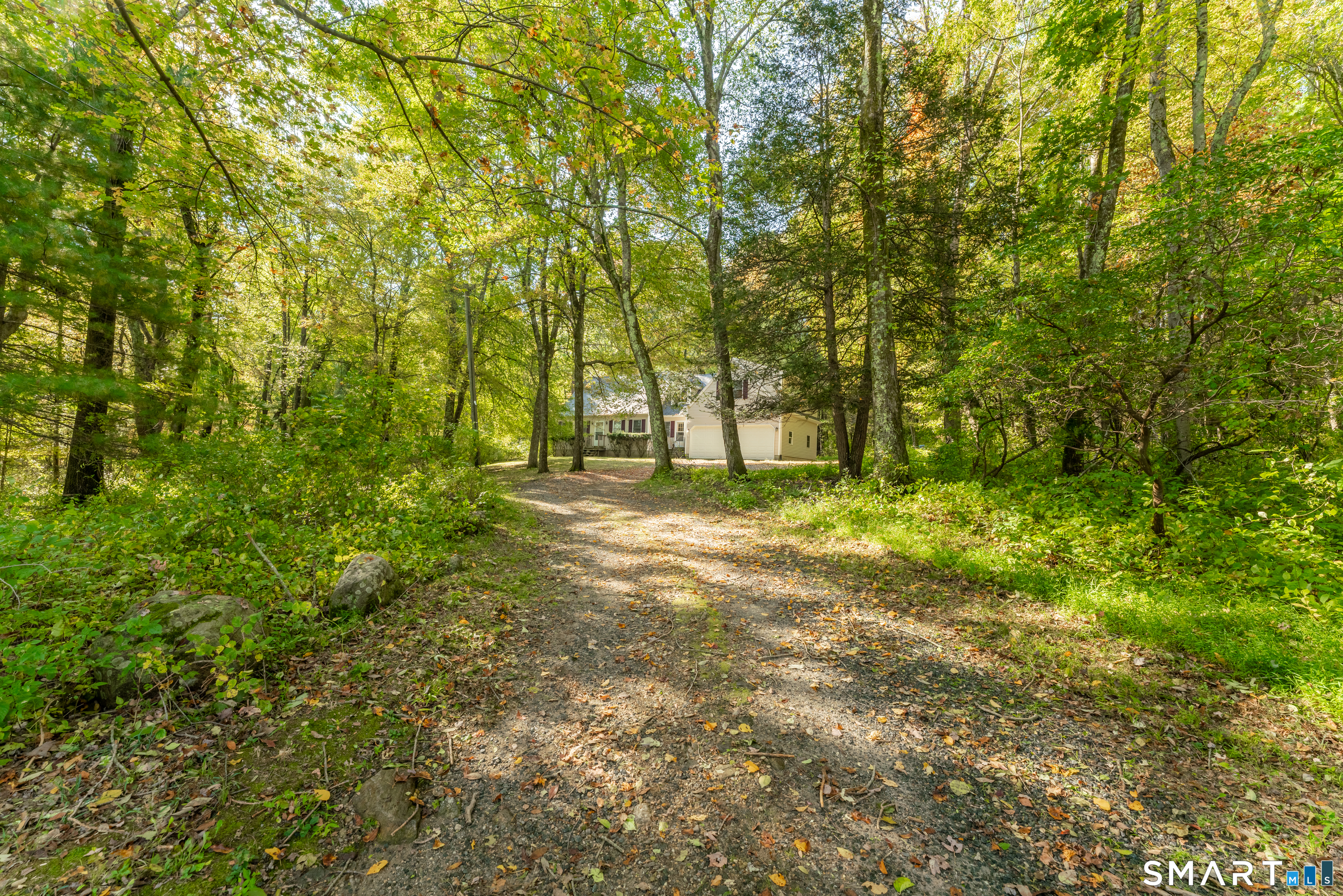 248 Paine Road Property Photo 3
