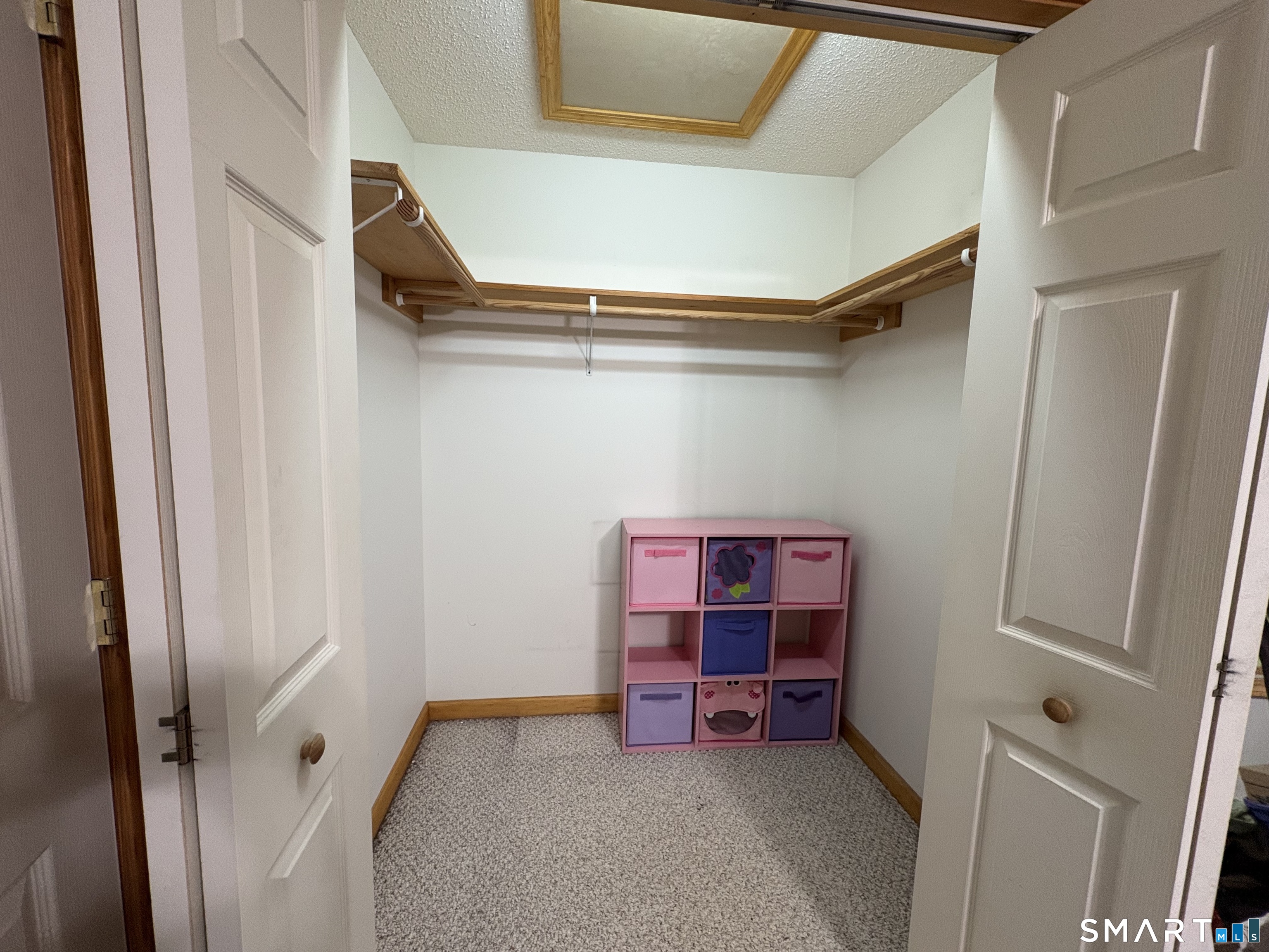 248 Paine Road Property Photo 30