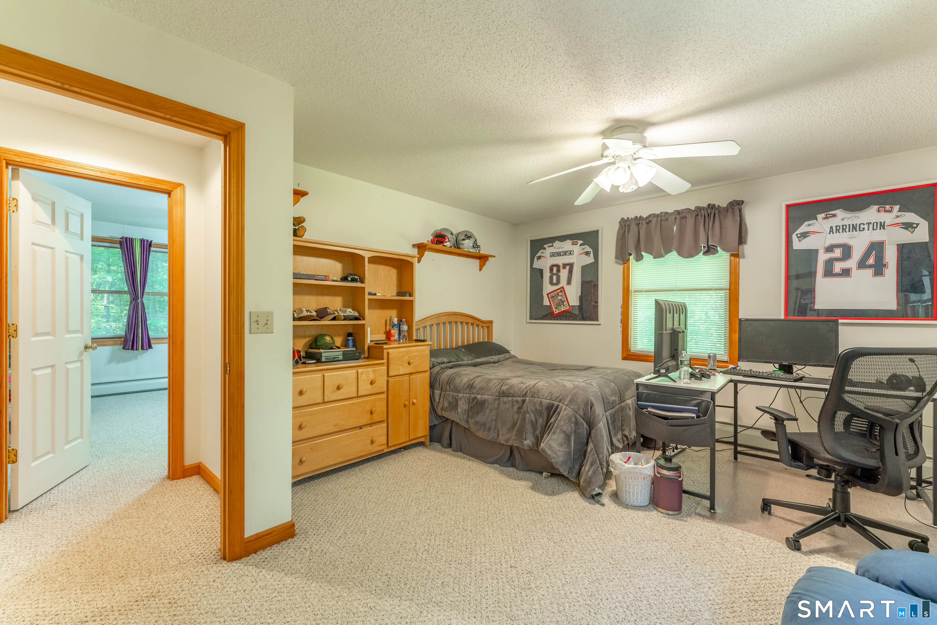 248 Paine Road Property Photo 34