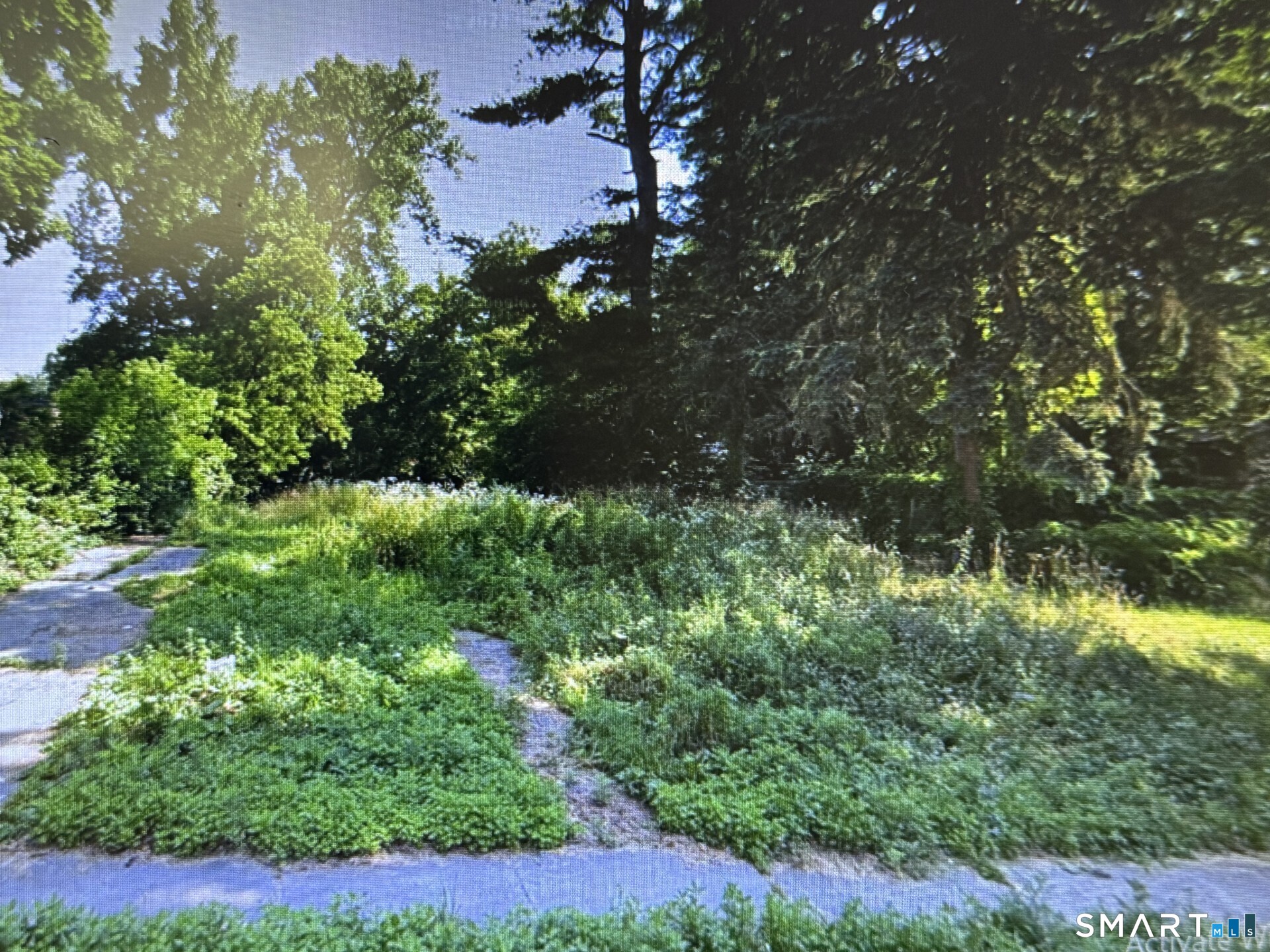 42 Winchester Street Property Photo 1