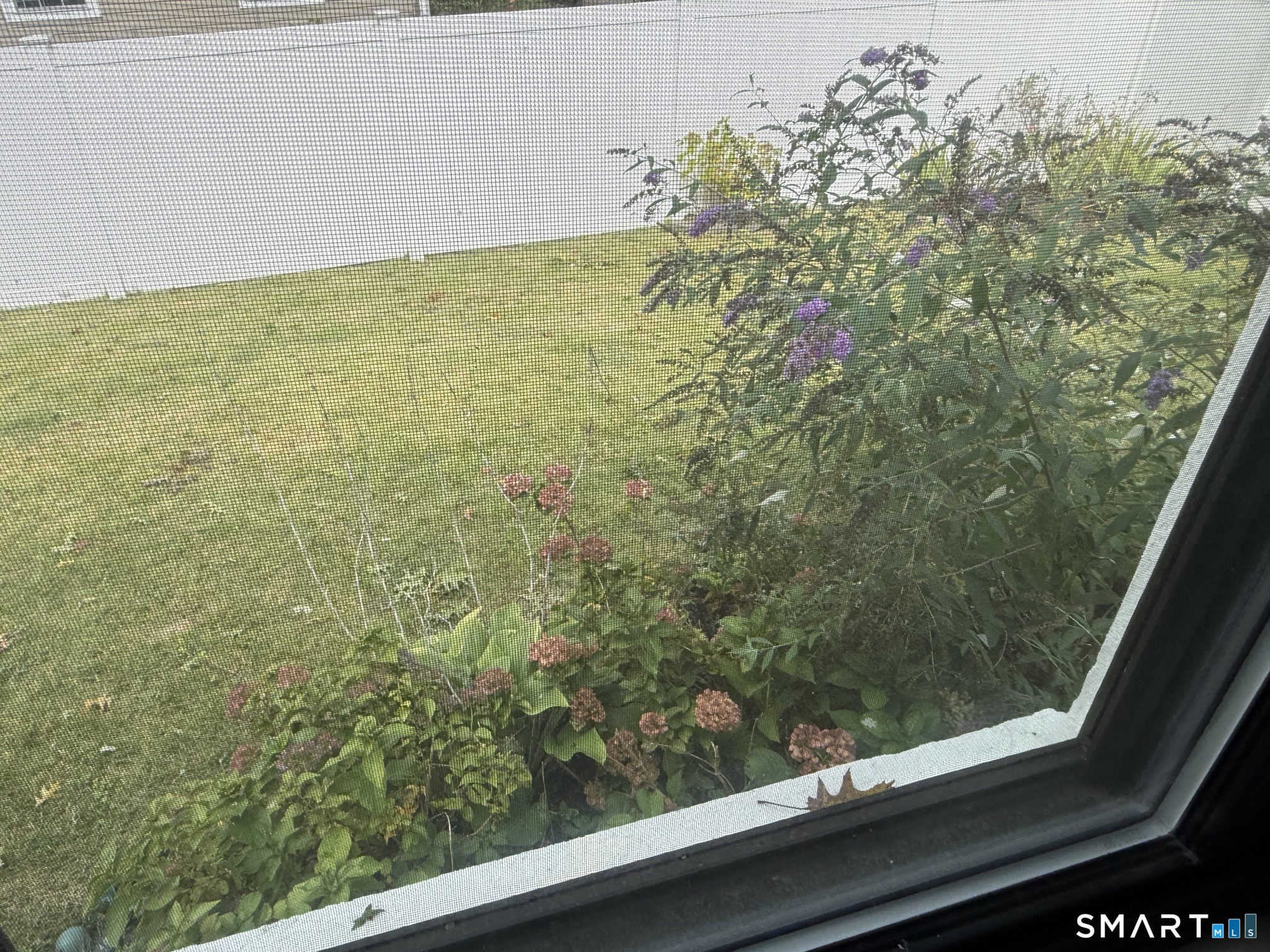 142 Rosedale Street Property Photo 19