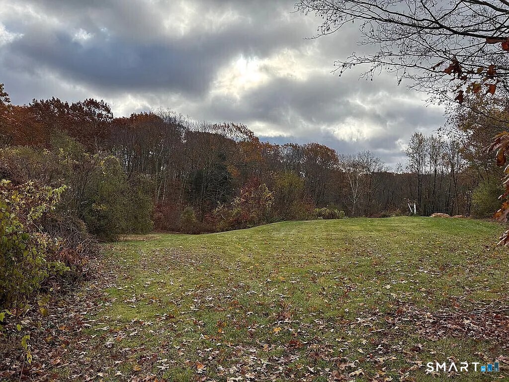 2581 Litchfield Road Property Photo 6