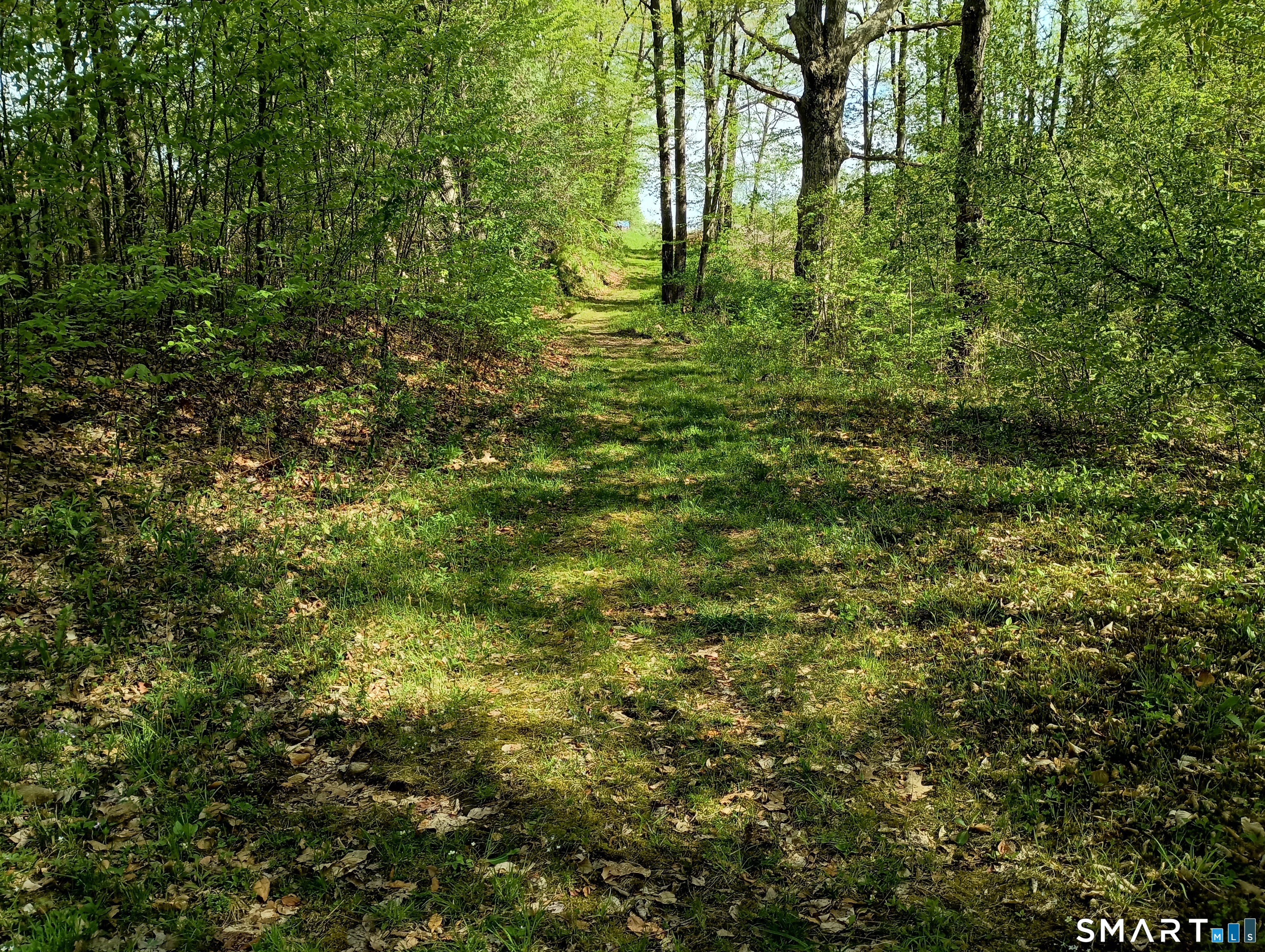 2581 Litchfield Road Property Photo 23