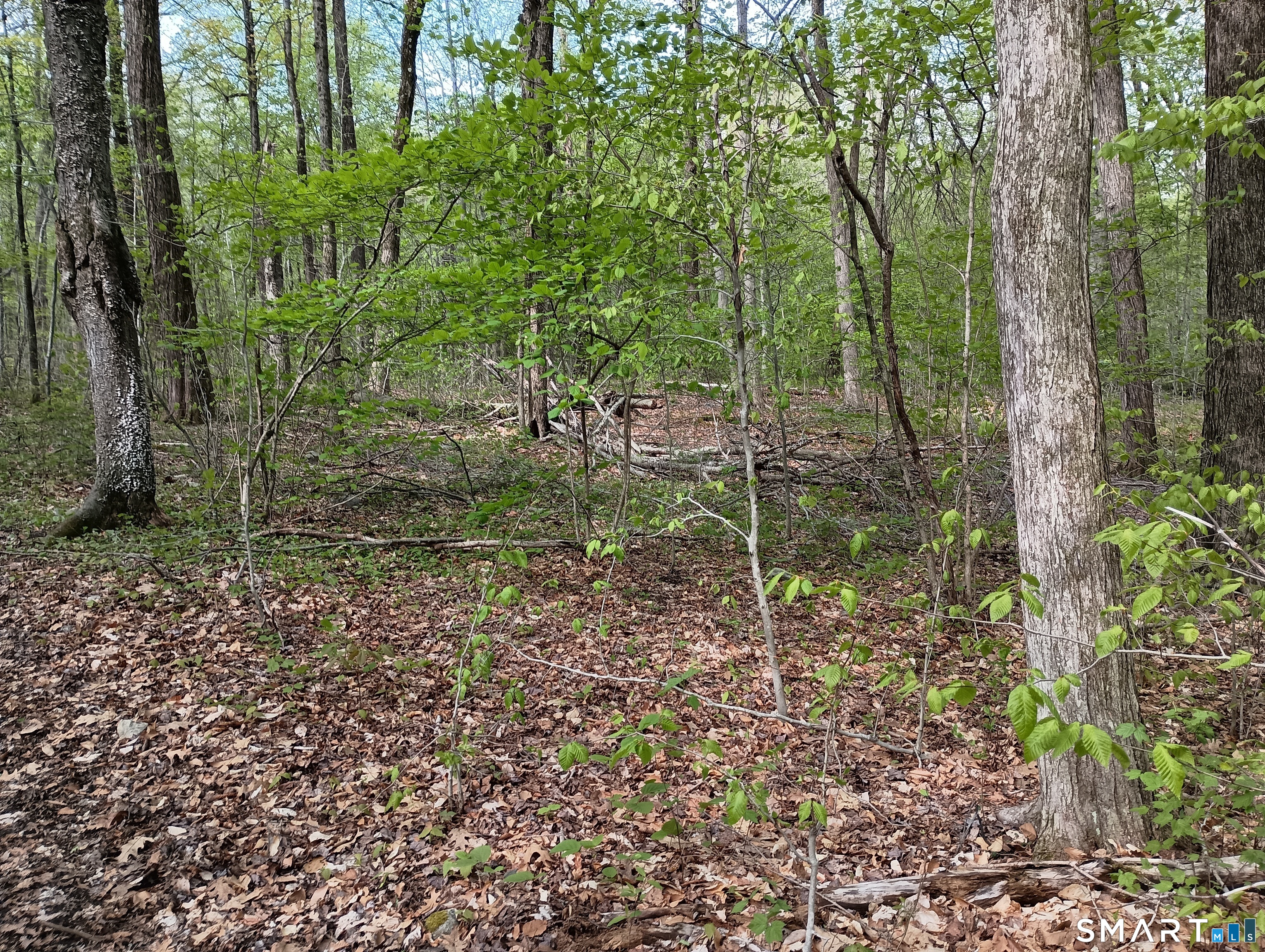 2581 Litchfield Road Property Photo 27