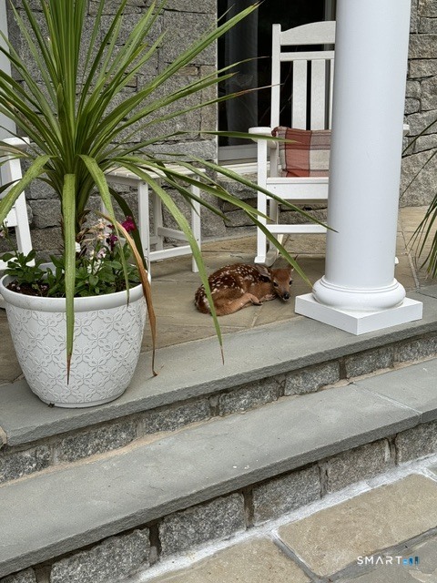 19 Christopher Lane Property Photo 40