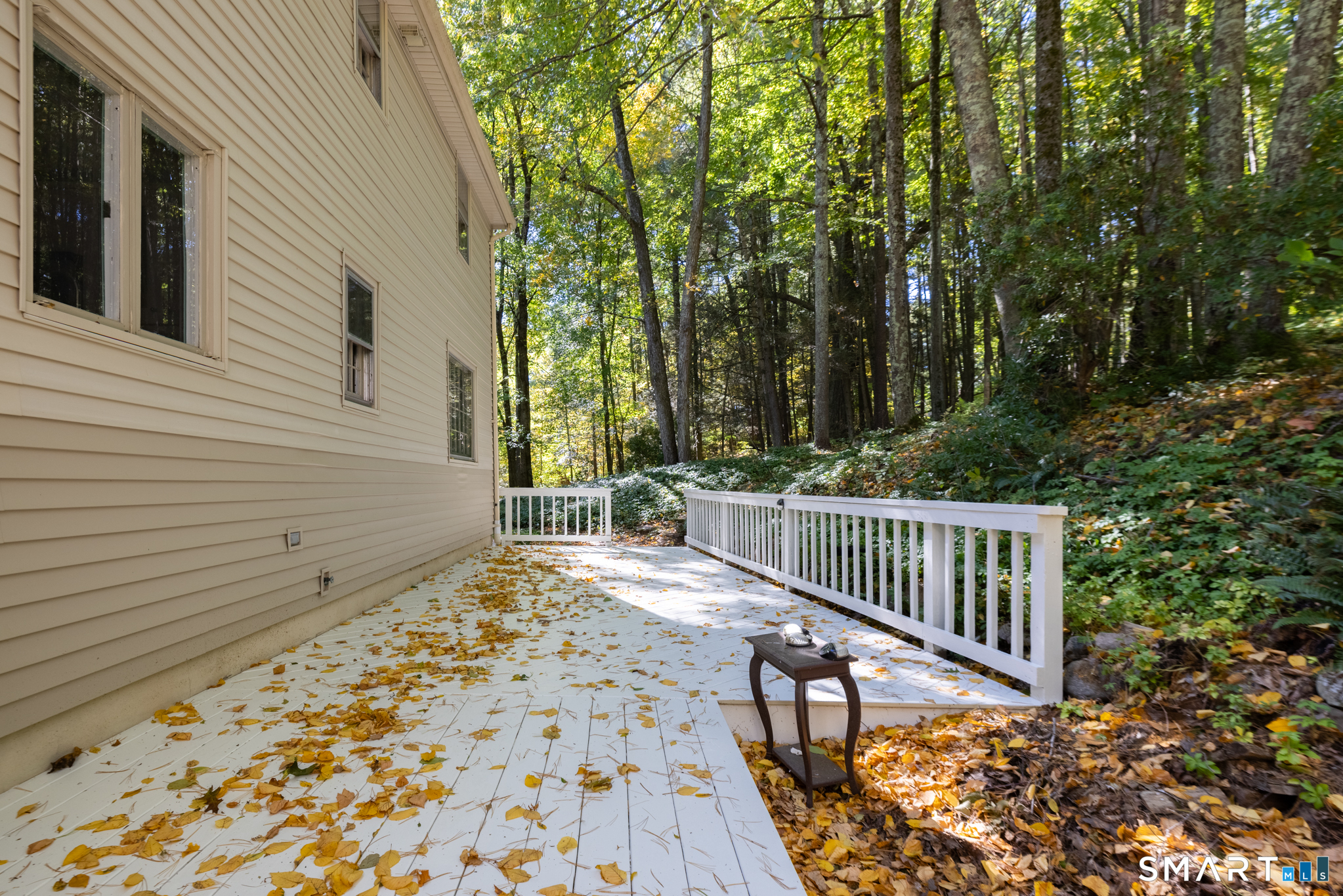 21 Saddle Ridge Drive Property Photo 34