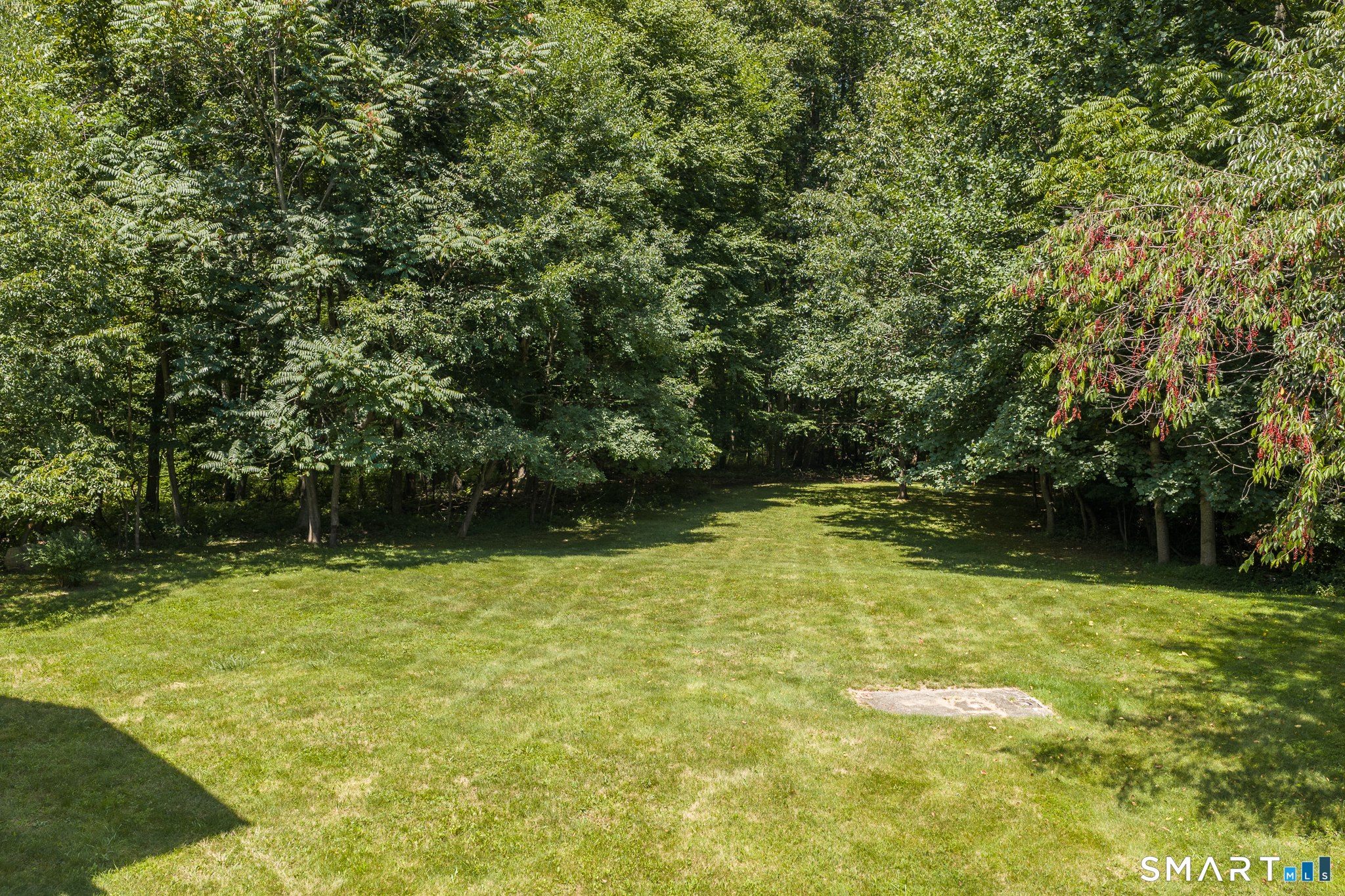 8 Plank Road Property Photo 23