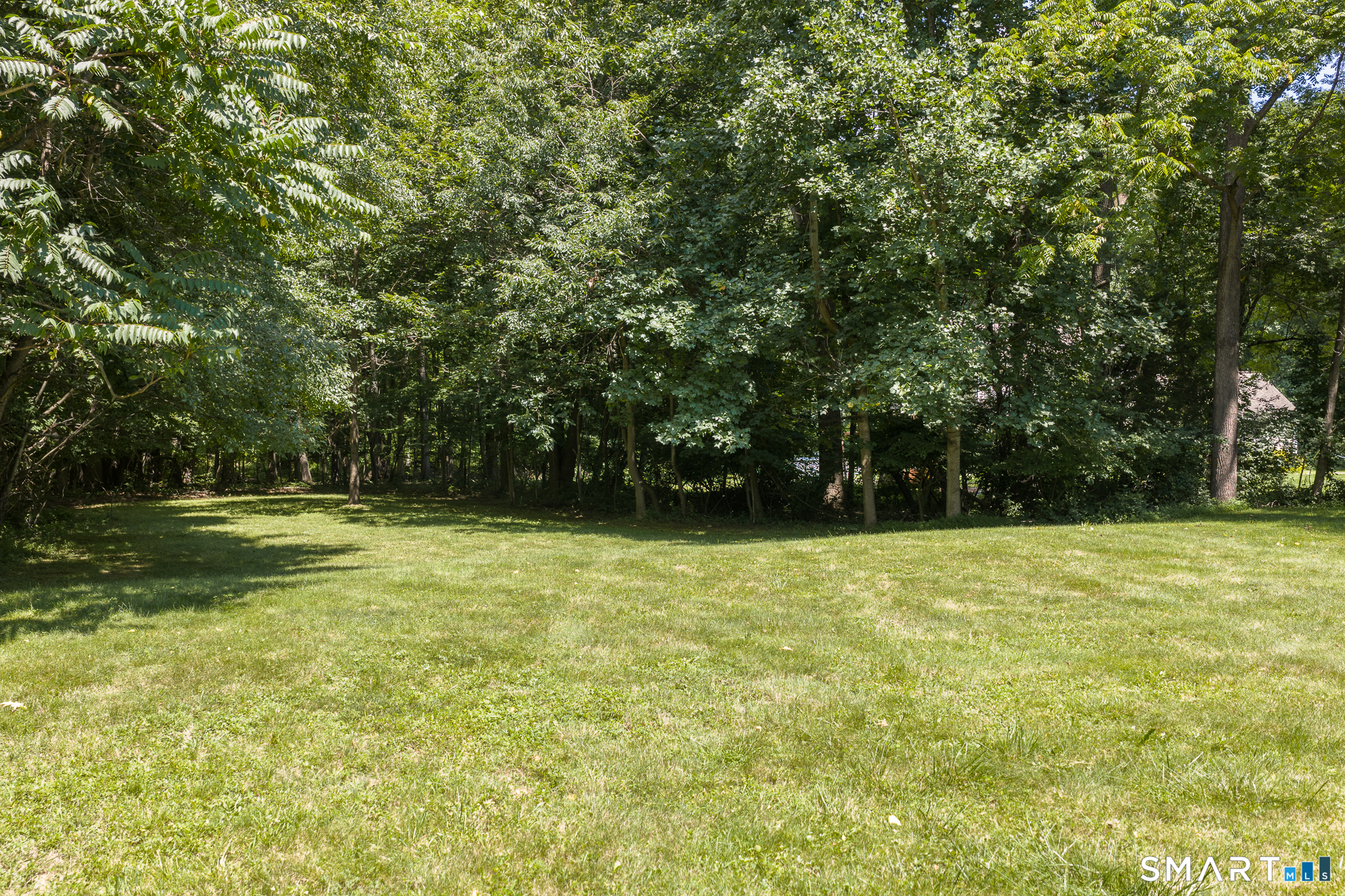 8 Plank Road Property Photo 25