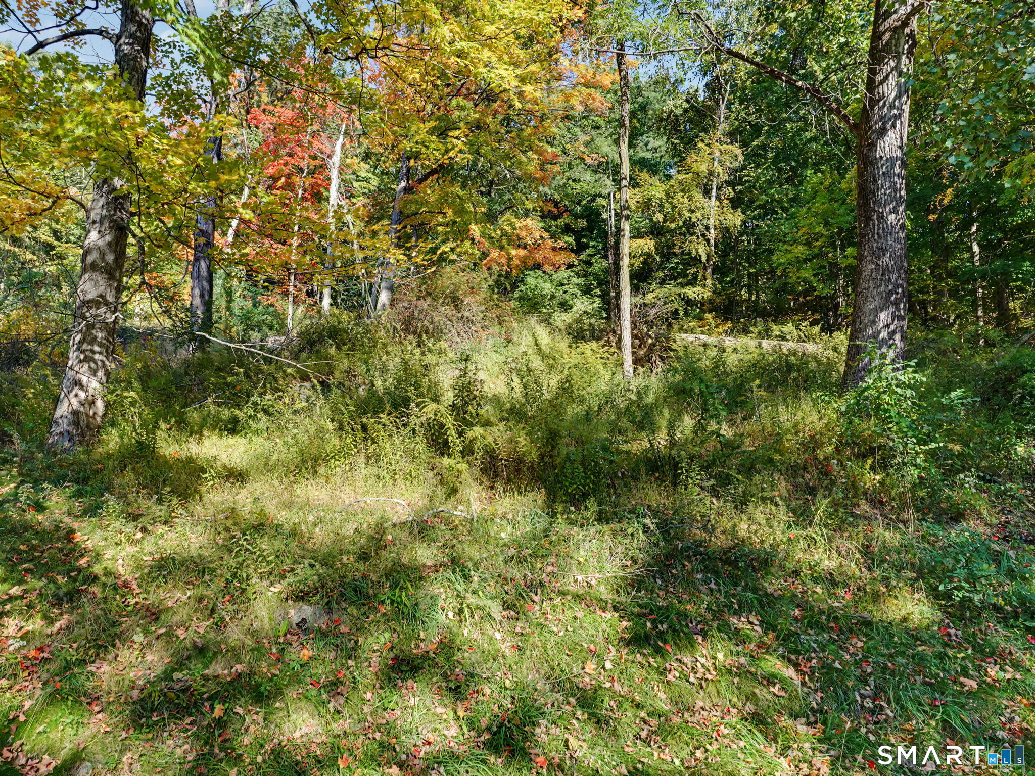 308 State Route 39 Property Photo 30