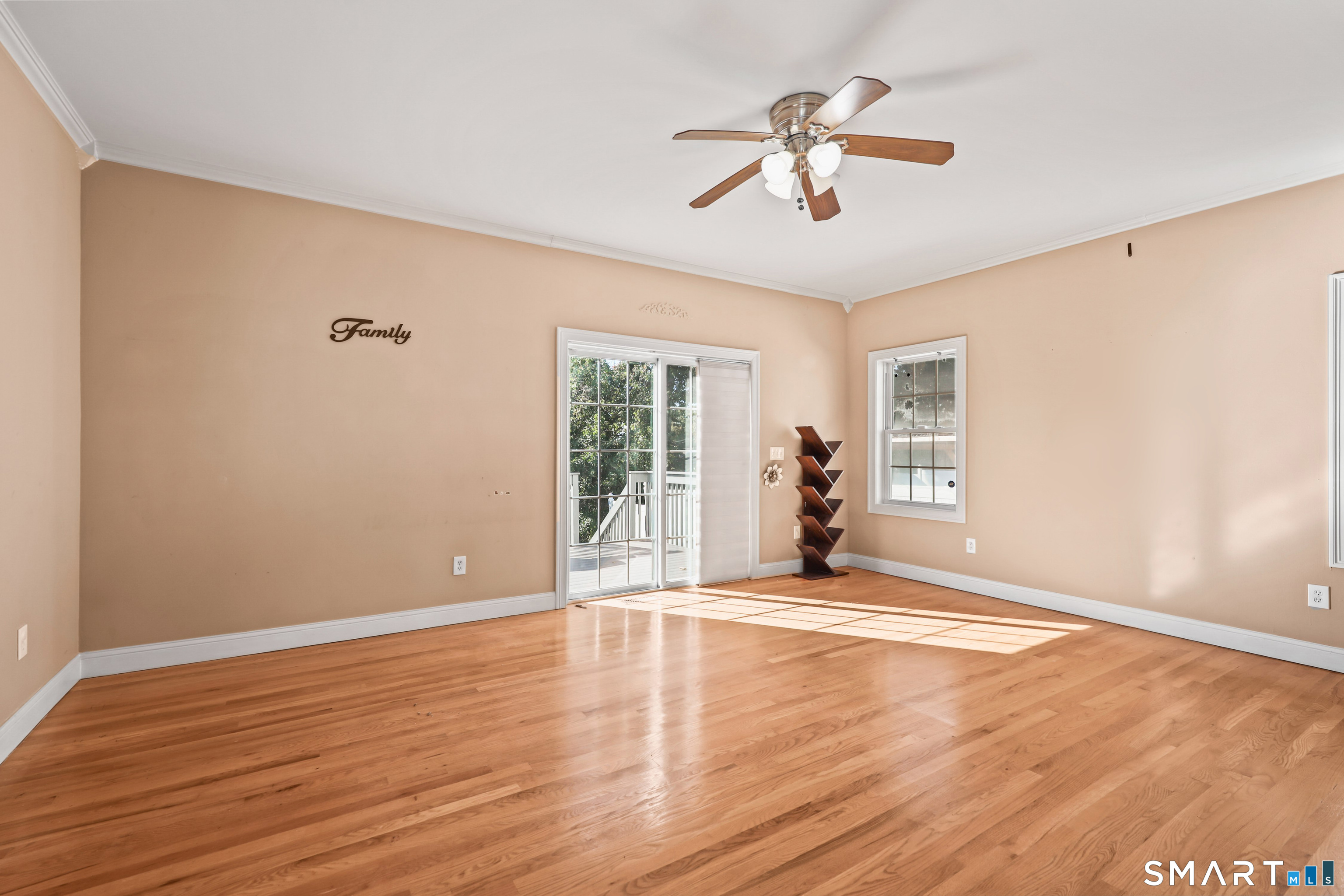 62 Hampton Road Property Photo 9