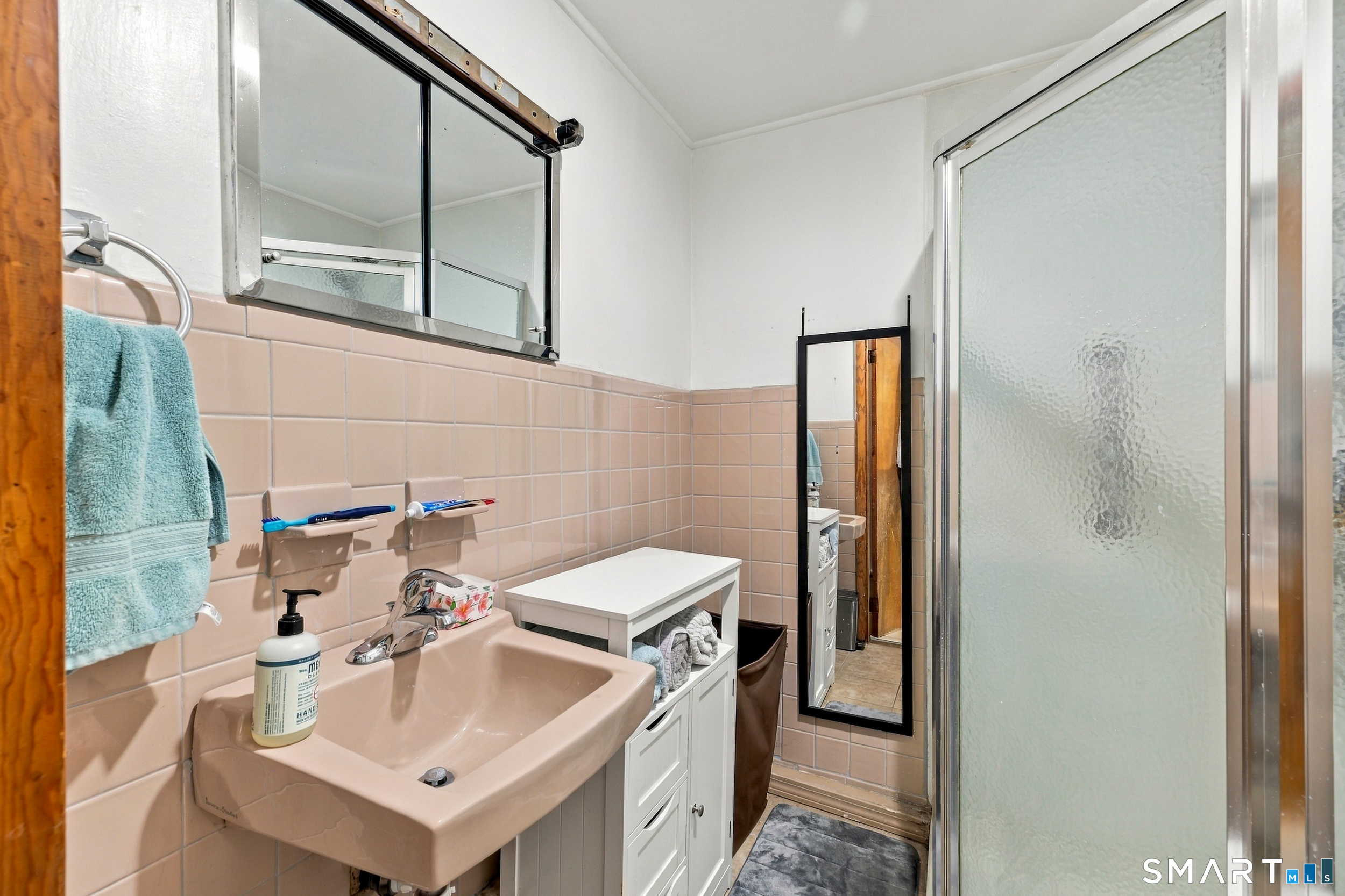 22 Harriet Avenue Property Photo 39