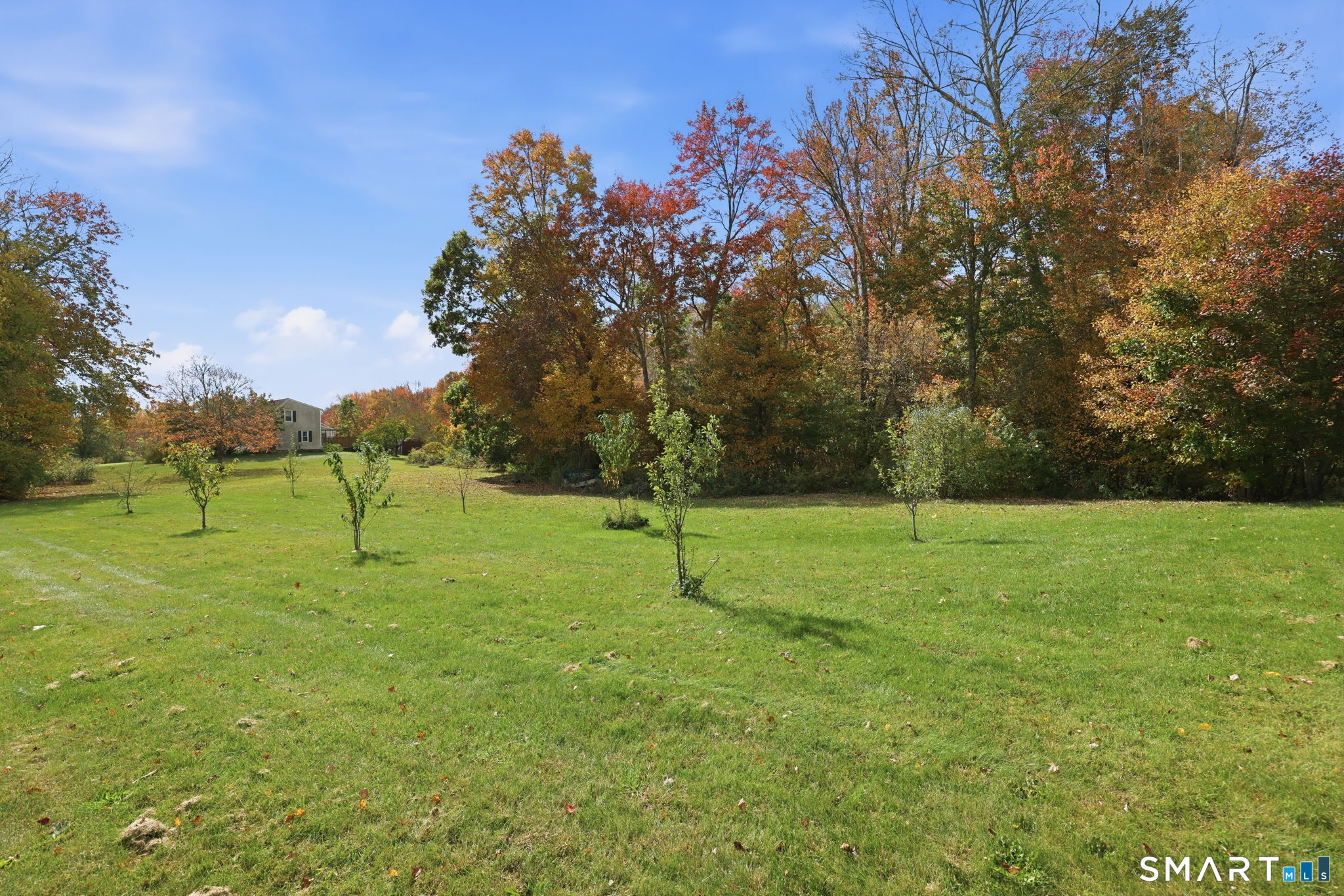 12 Dunay Road Property Photo 15