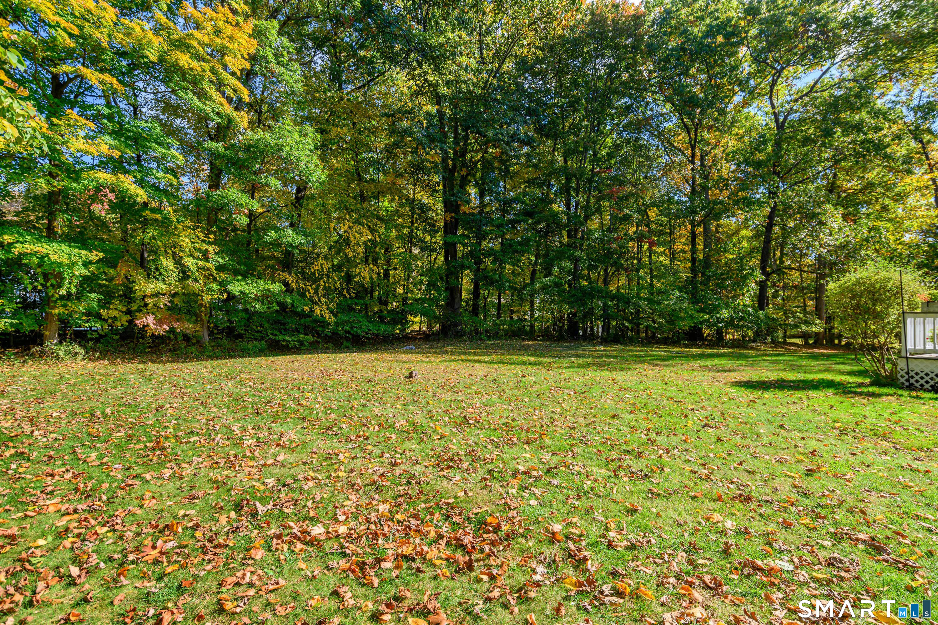25 Maplewood Drive Property Photo 24