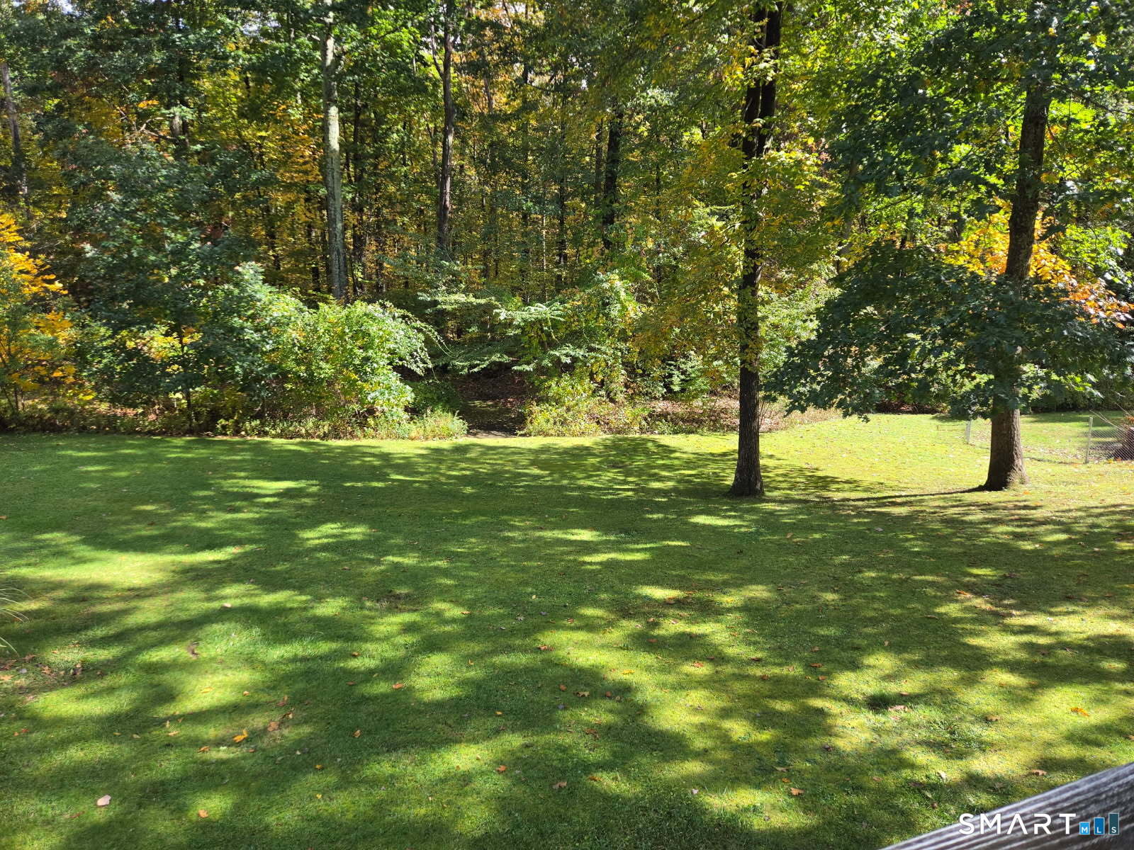 50 Saint Moritz Circle Property Photo 3