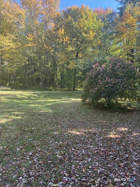 9 Birch Hill Road Property Photo 5