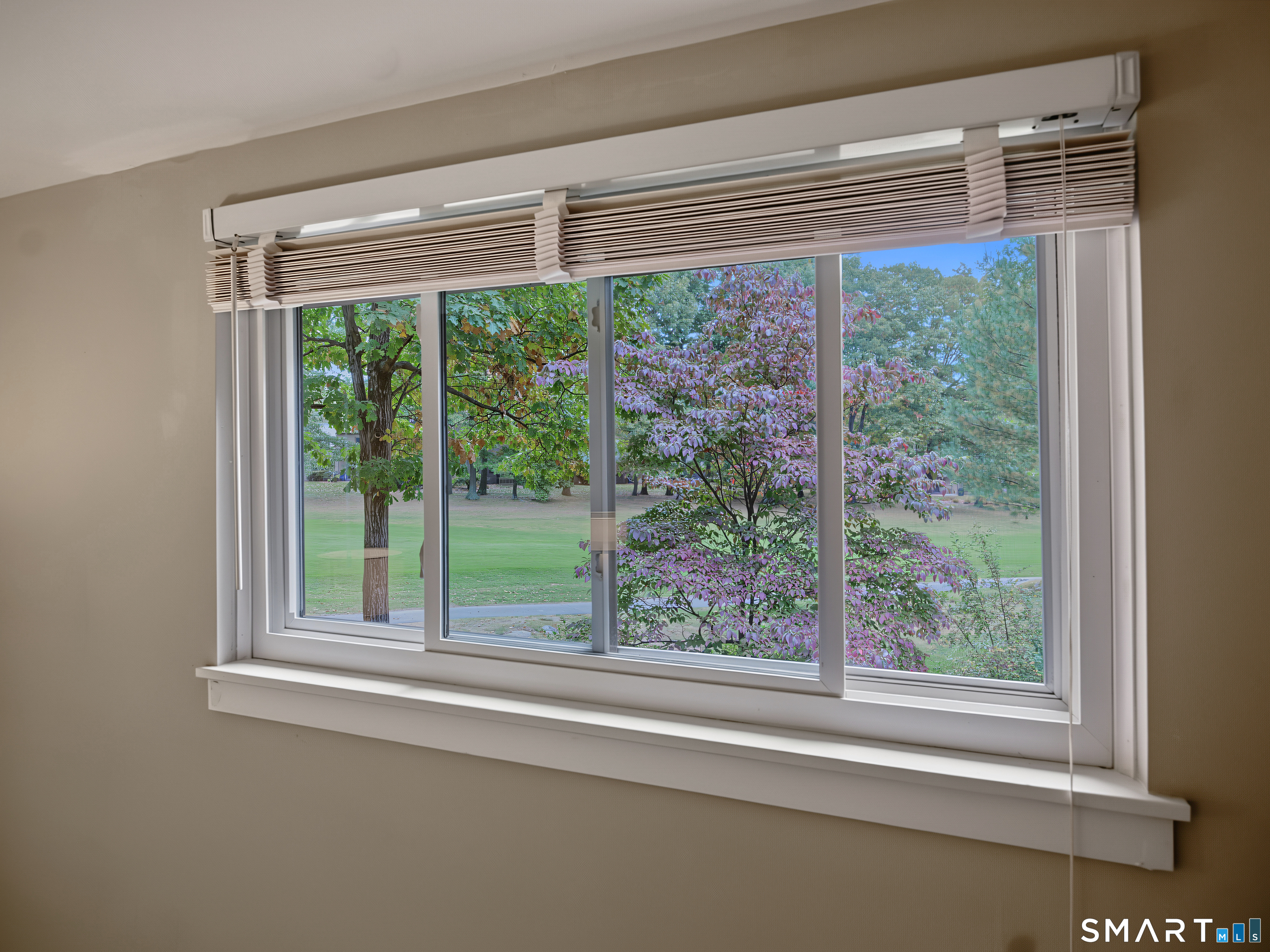 20 Conifer Lane Property Photo 15