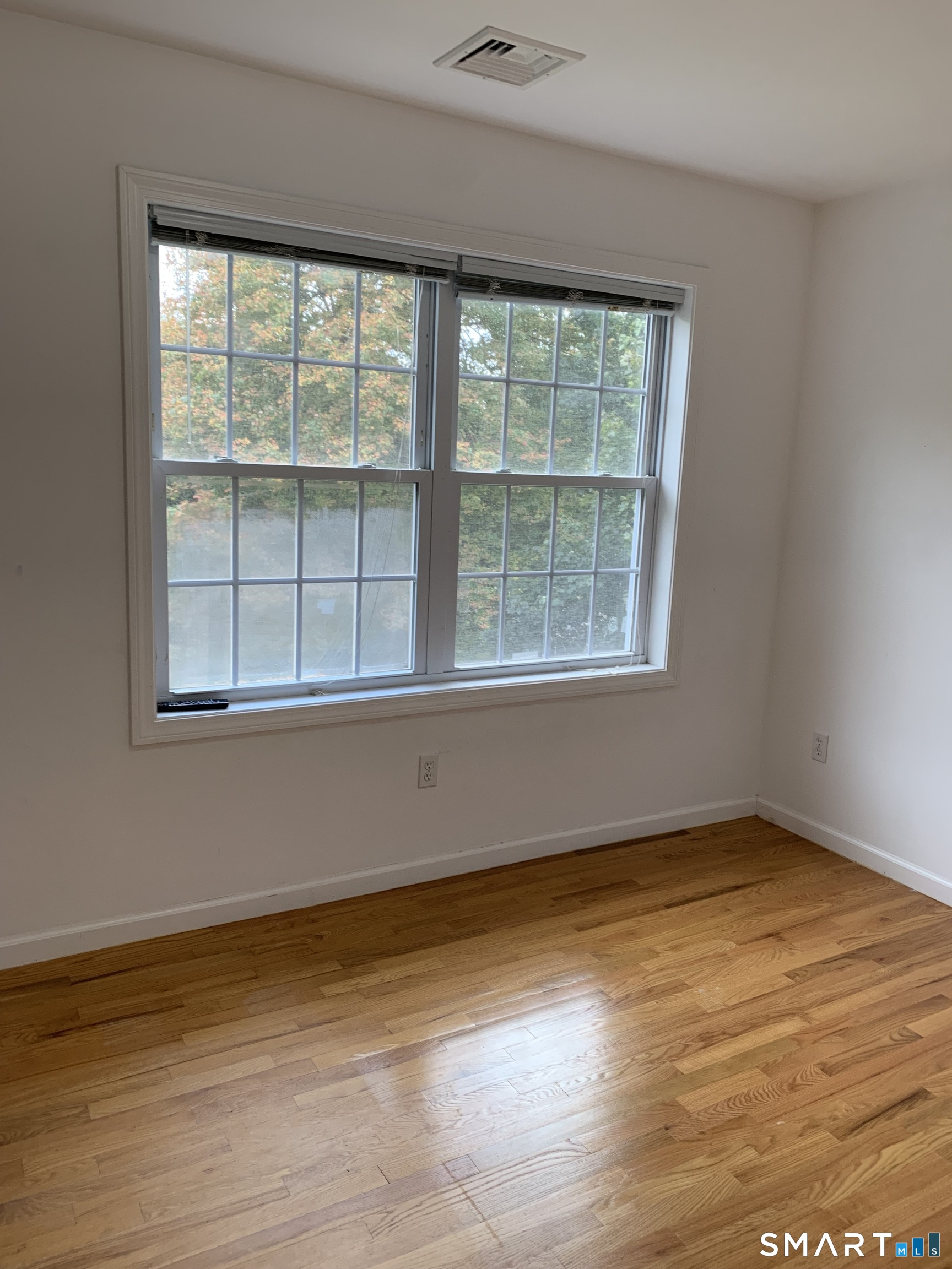 143 Hewitt Road Property Photo 23