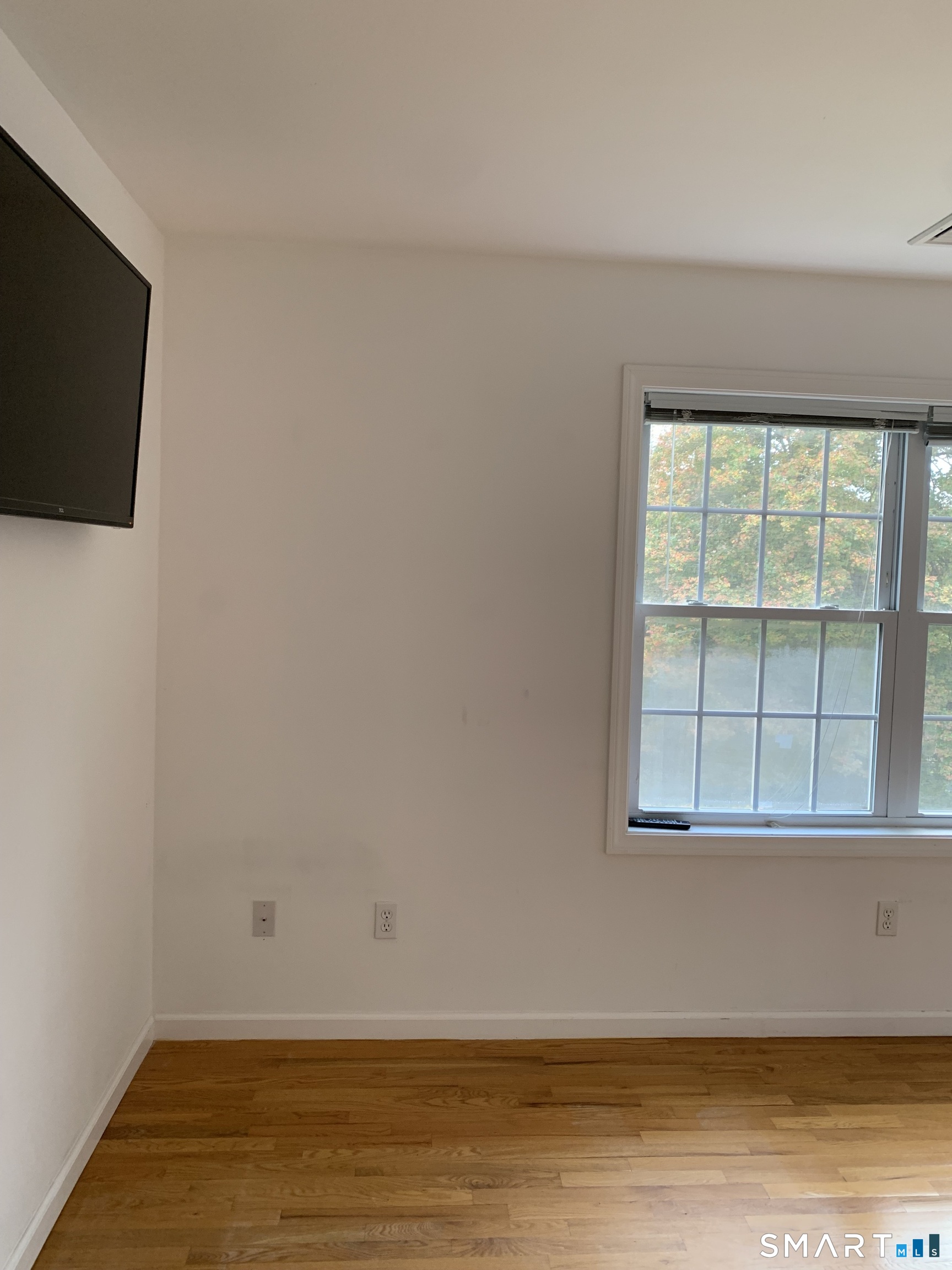 143 Hewitt Road Property Photo 26